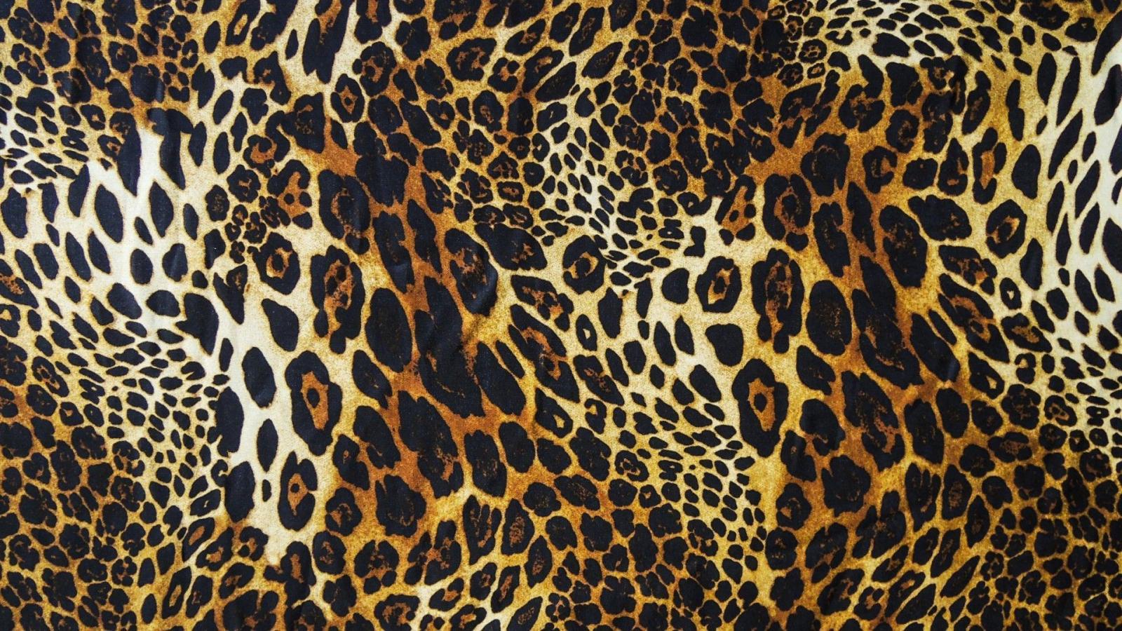 1600x900 Free download Leopard Print Wallpaper HD [1920x1080] for your Desktop, Mobile & Tablet. Explore Cheetah Background Image. Cheetah Wallpaper