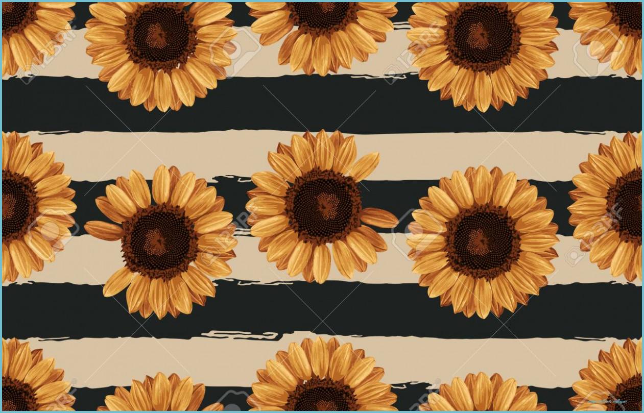1261x809 Stock Illustration Sunflower Wallpaper