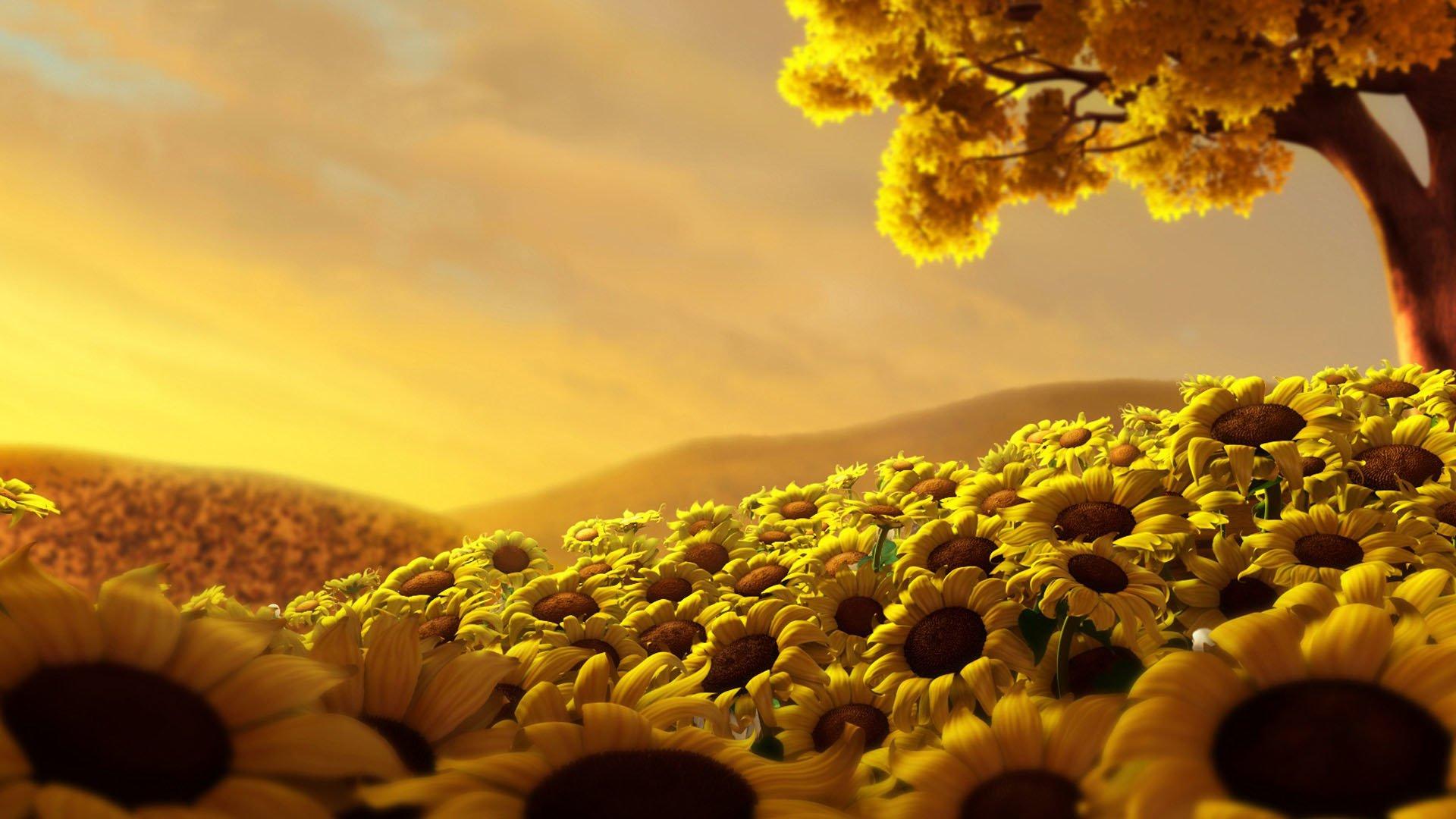 1920x1080 Sunflower Vintage Desktop Wallpaper 23728