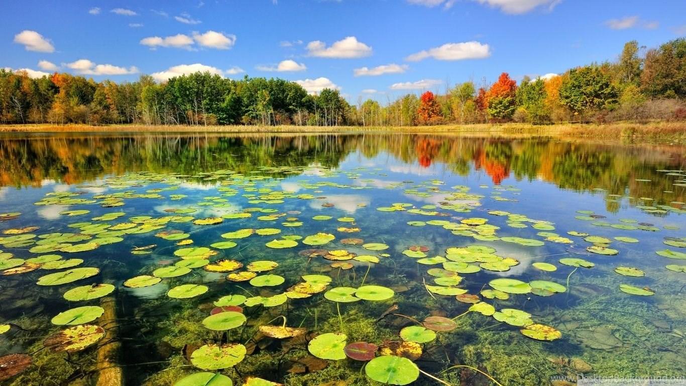 1366x768 Beautiful Lake Scenery, Autumn HD Desktop Wallpaper : High. Desktop Background
