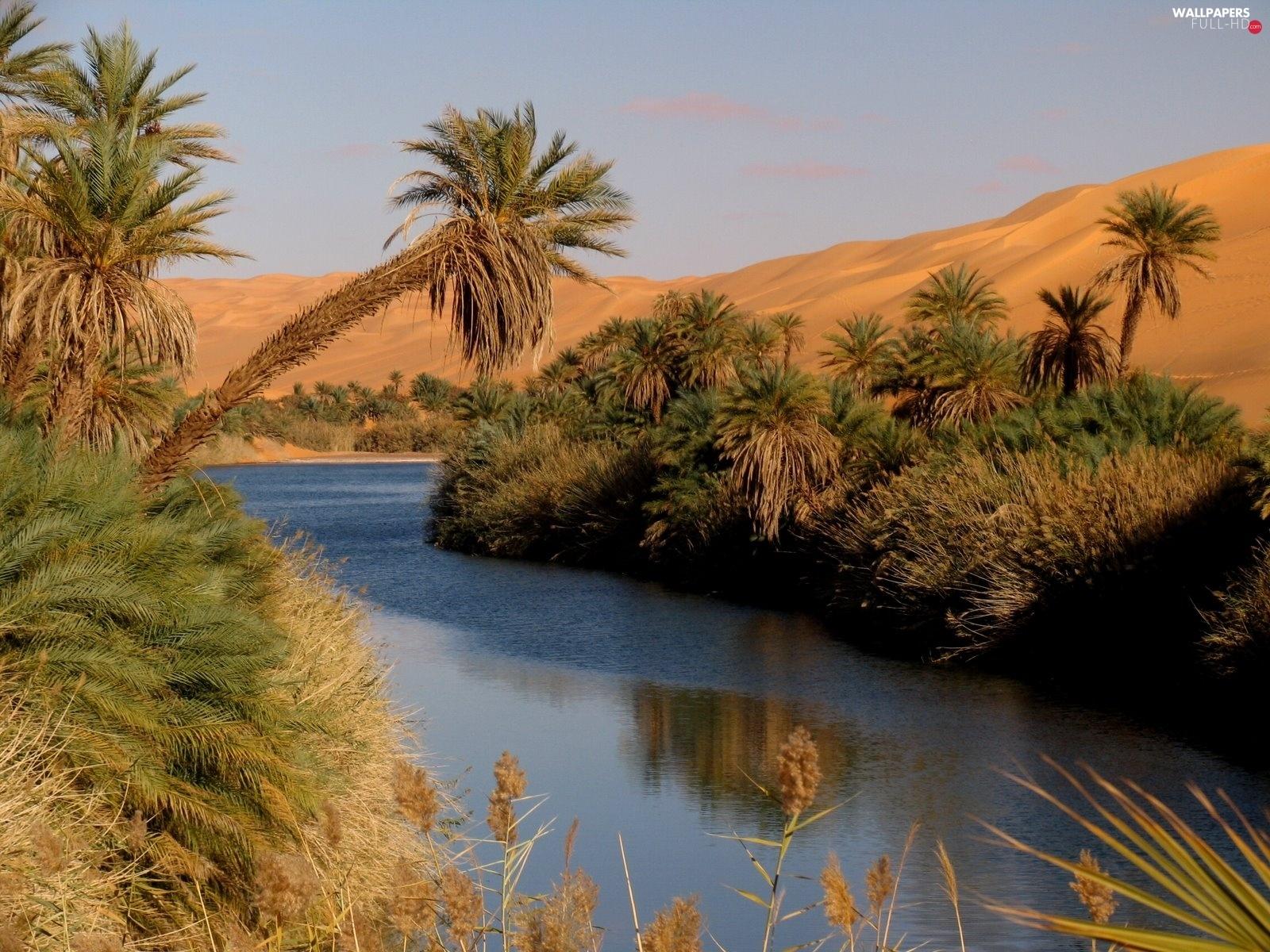 Desert River Wallpapers Top Free Desert River Backgrounds