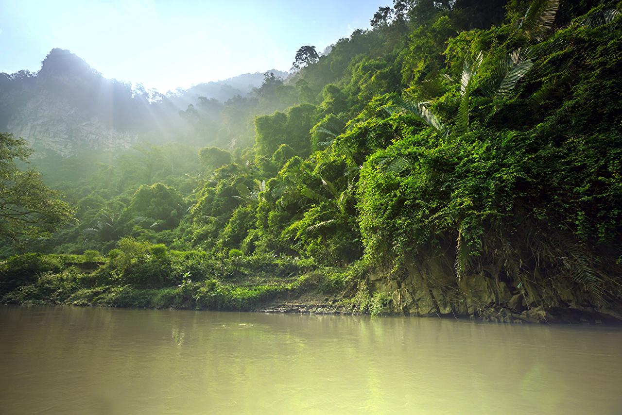 1280x855 Desktop Wallpaper Jungle Nature Tropics Forests river