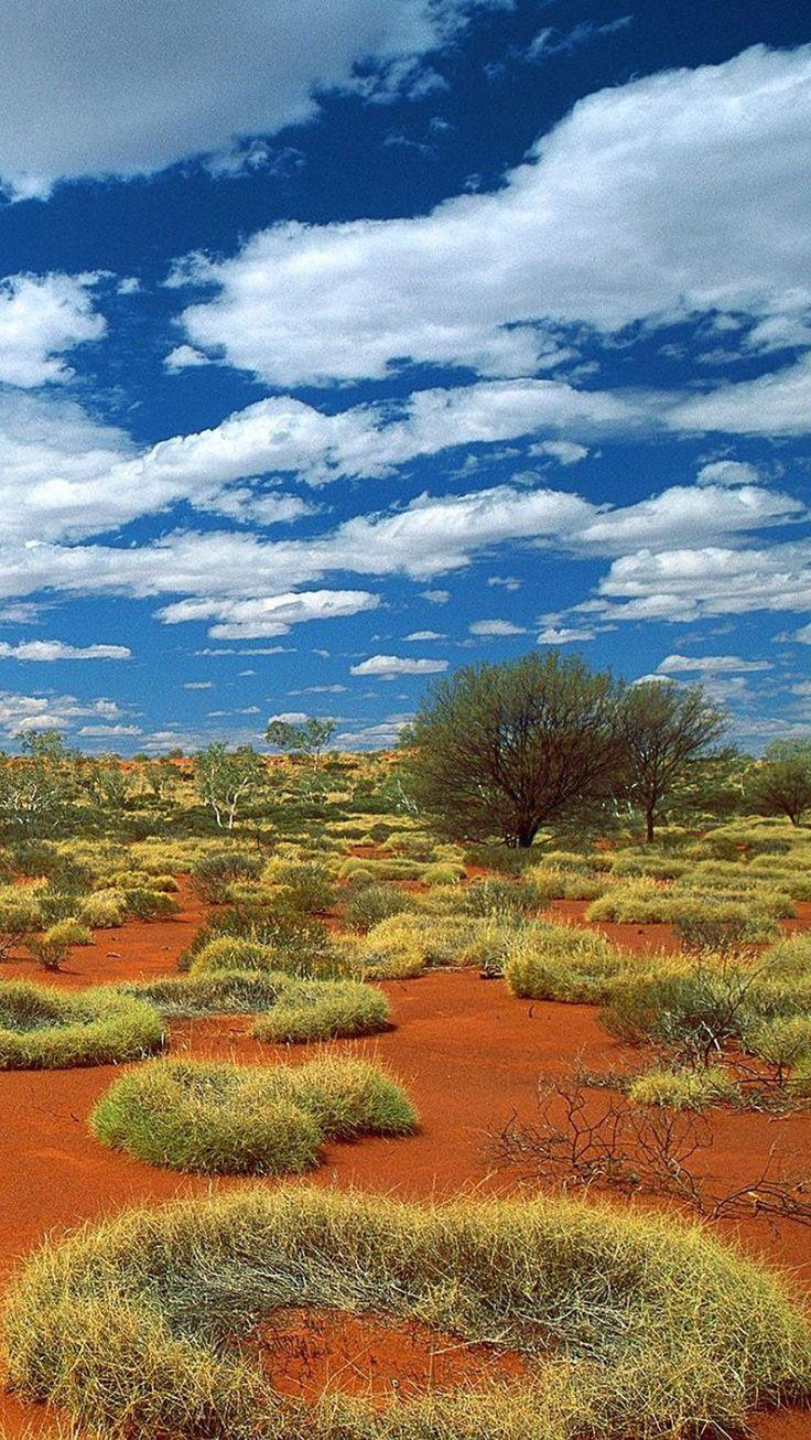736x1306 Little Sandy Desert, Bioregion, Australia:. Australia wallpaper, Australian desert, Australia travel
