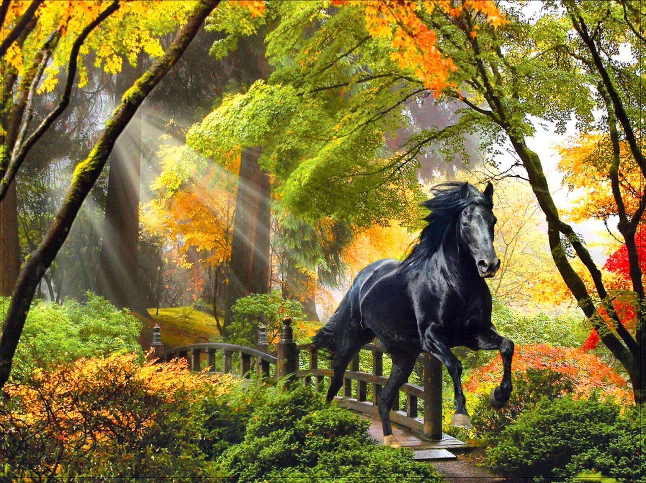 2054x1536 Fall rays horse beautiful trees art enchanted bridge magical colors