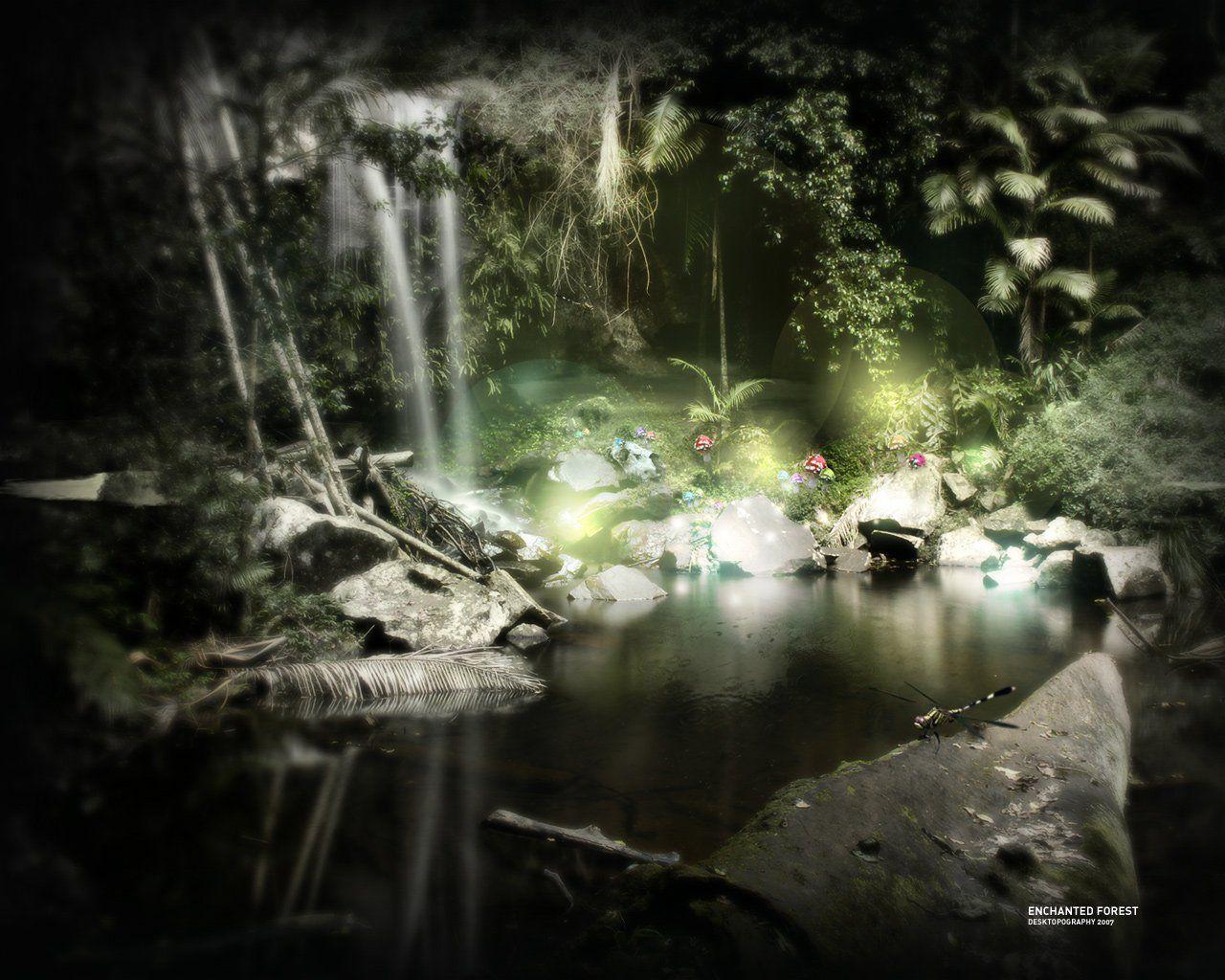 1280x1024 Enchanted Forest, Wallpaper Metal Gothic: Heavy Metal wallpaper