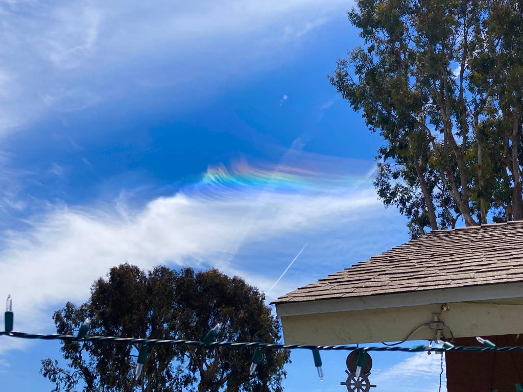 1024x768 cloud iridescence. Enchanted Seashells