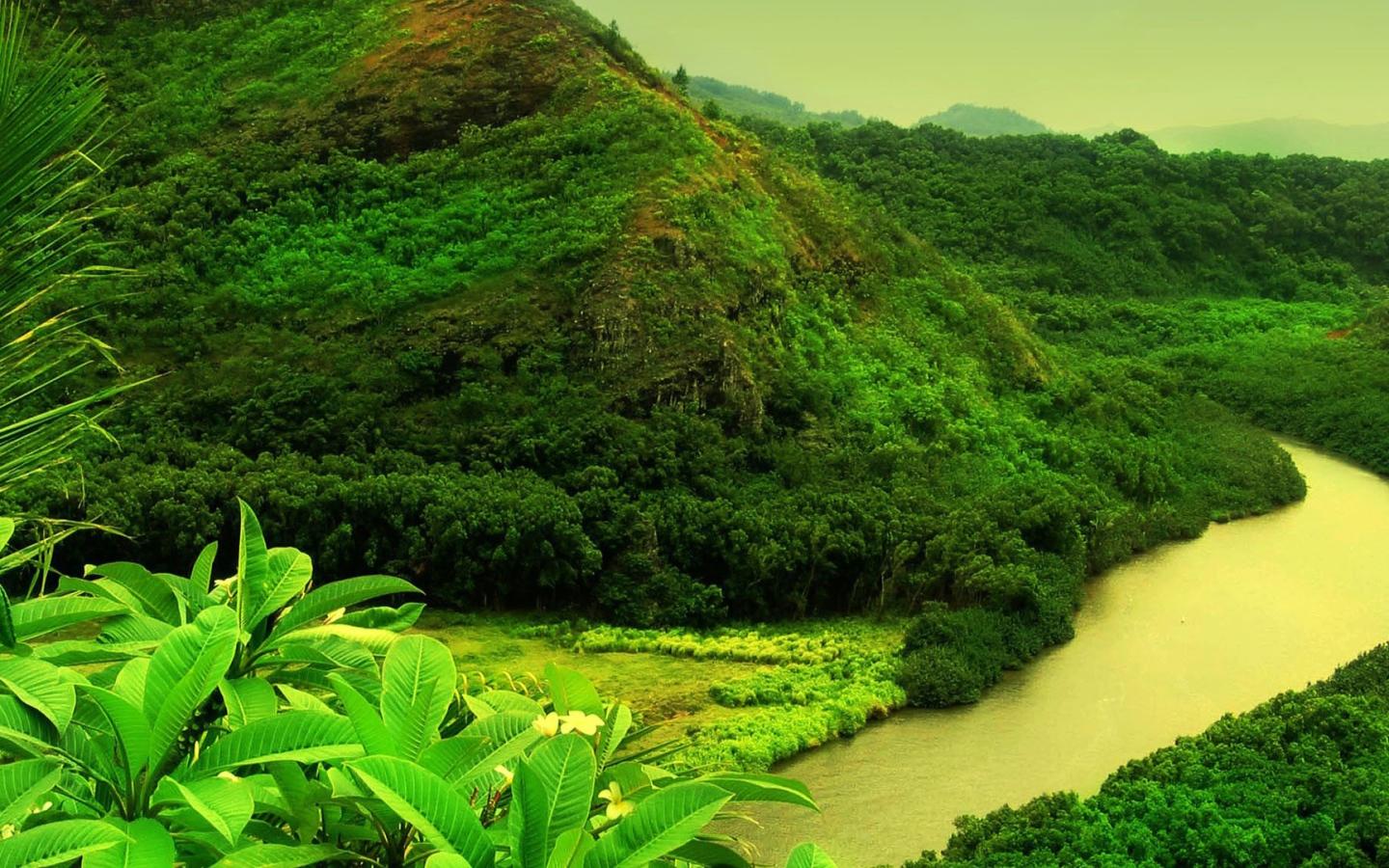 1440x900 Muddy river in the jungle Desktop wallpaper 1440x900