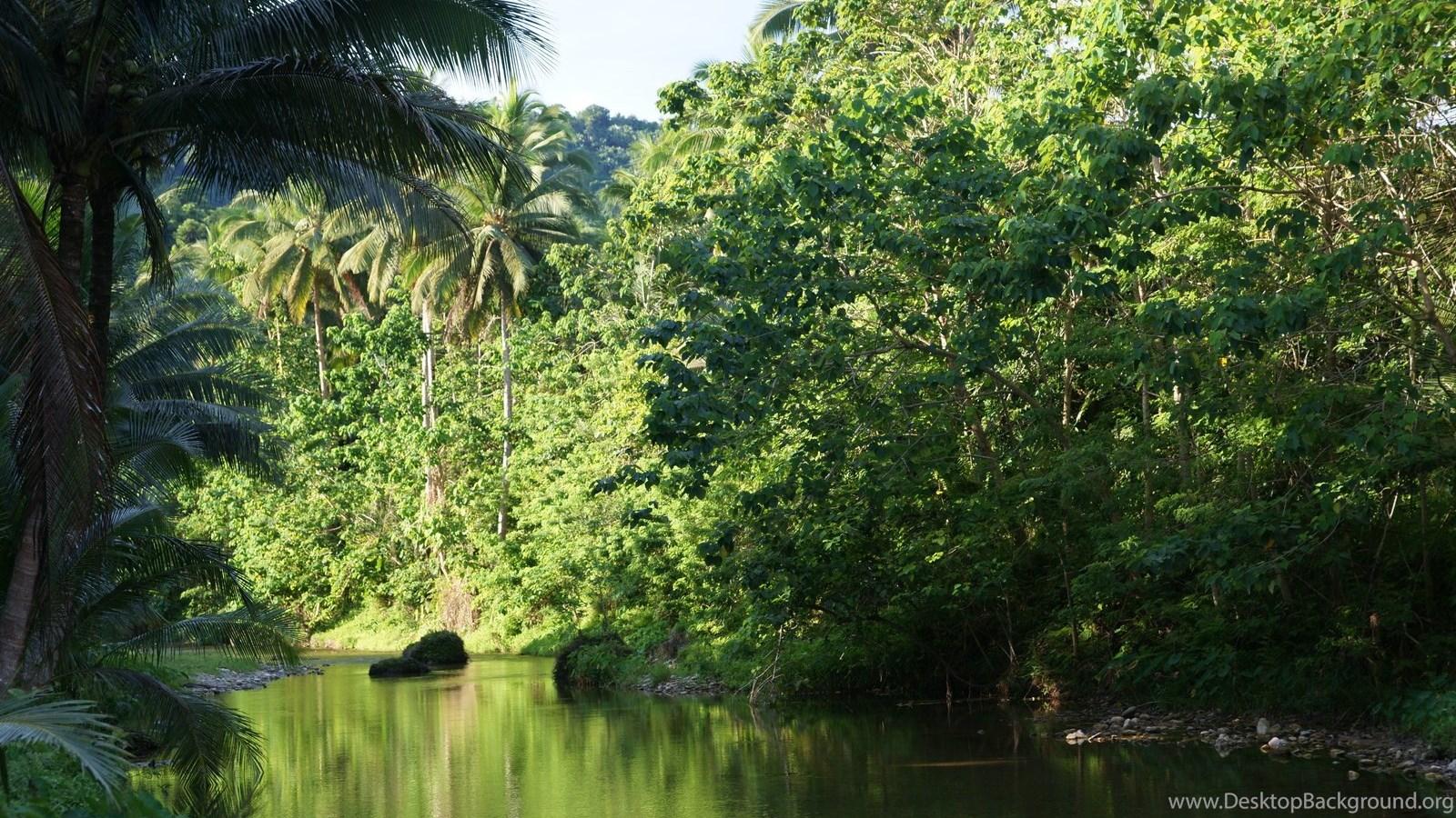 Jungle River Wallpapers - Top Free Jungle River Backgrounds ...