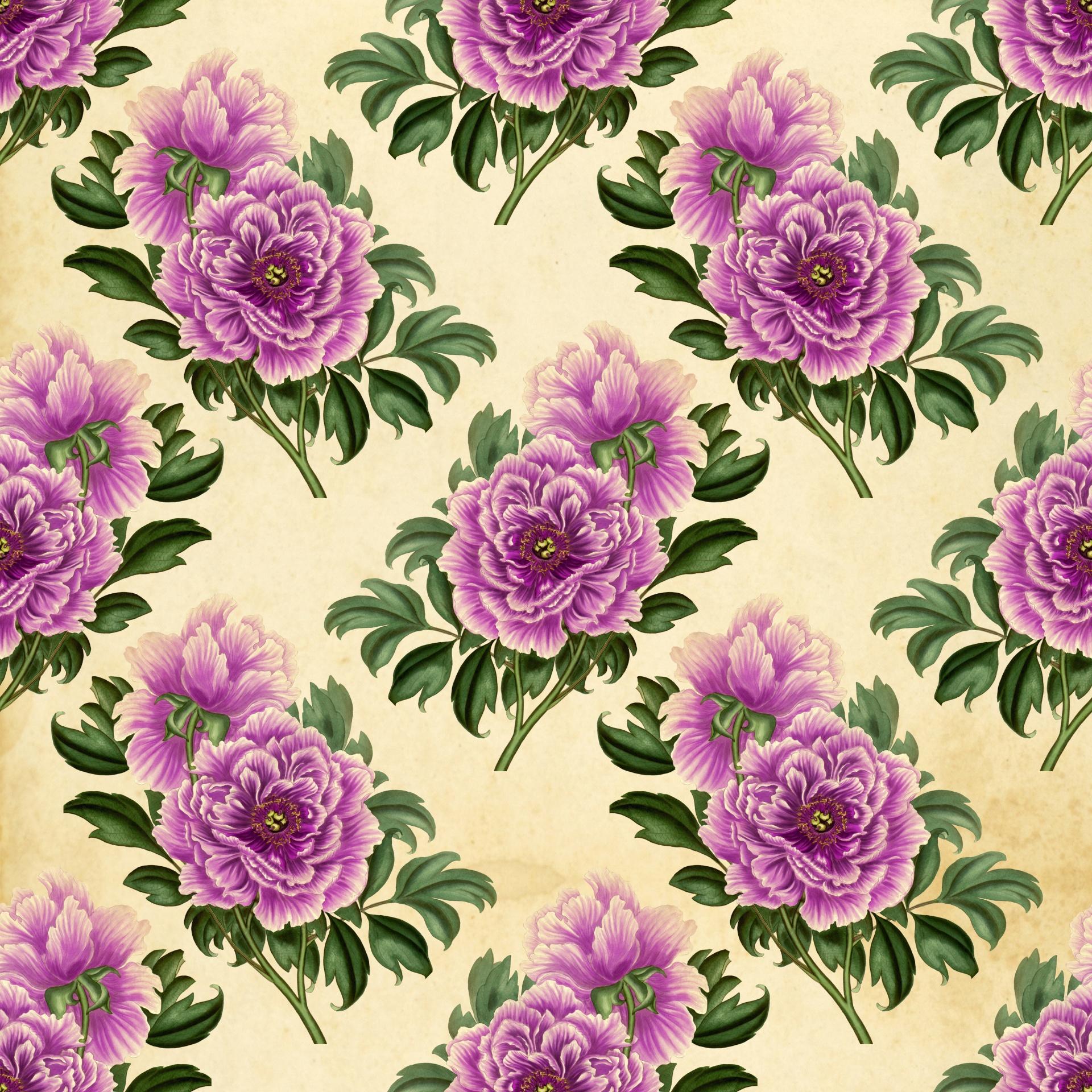 1920x1920 Flowers Vintage Roses Wallpaper Free Domain Picture