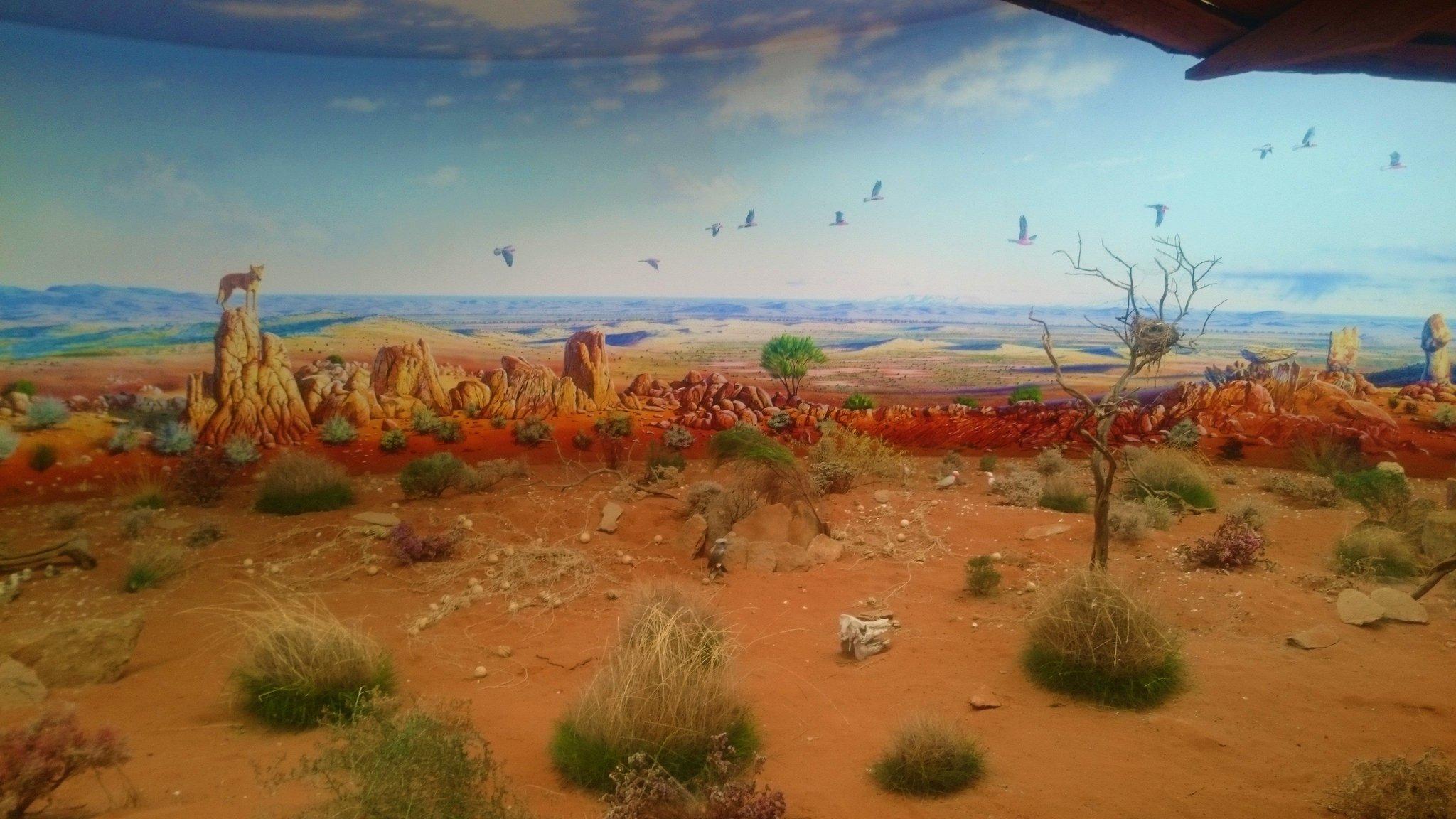 2048x1152 Kyuss Covak from the spectacular mural 'The Big Picture' painted by Peter Anderson #BrokenHill #Australia It took 14 photo to take in the whole thing