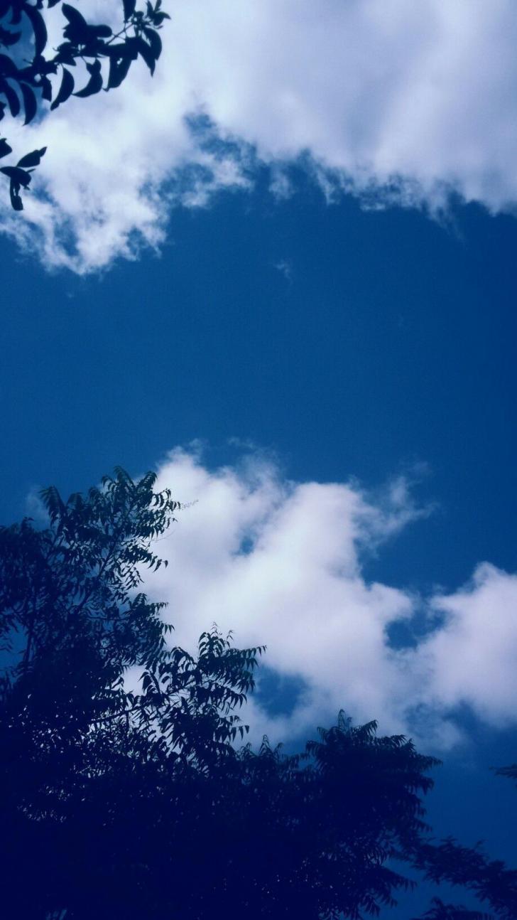 728x1294 Wallpaper HD: Blue, Aesthetic, Cloud, Wallpaper, Top, Free, Blue, Aesthetic