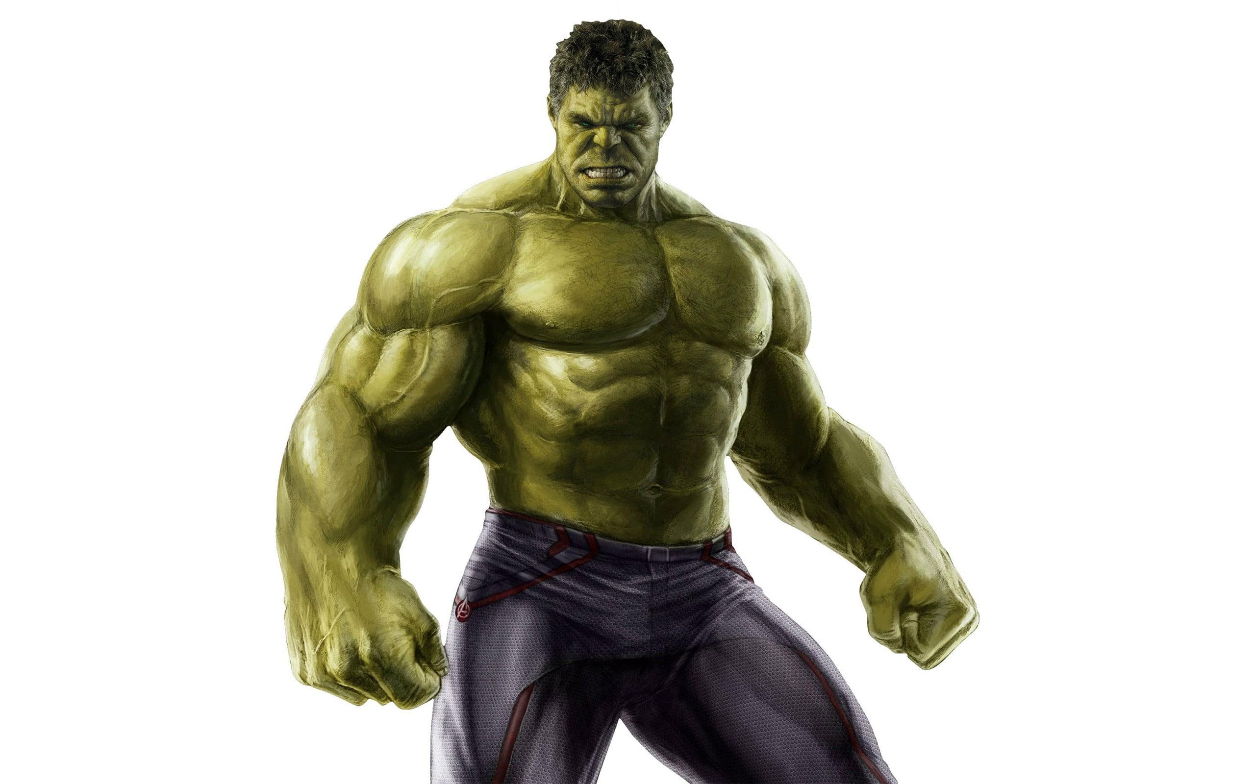 2560x1600 Hulk Avengers Age Of Ultron