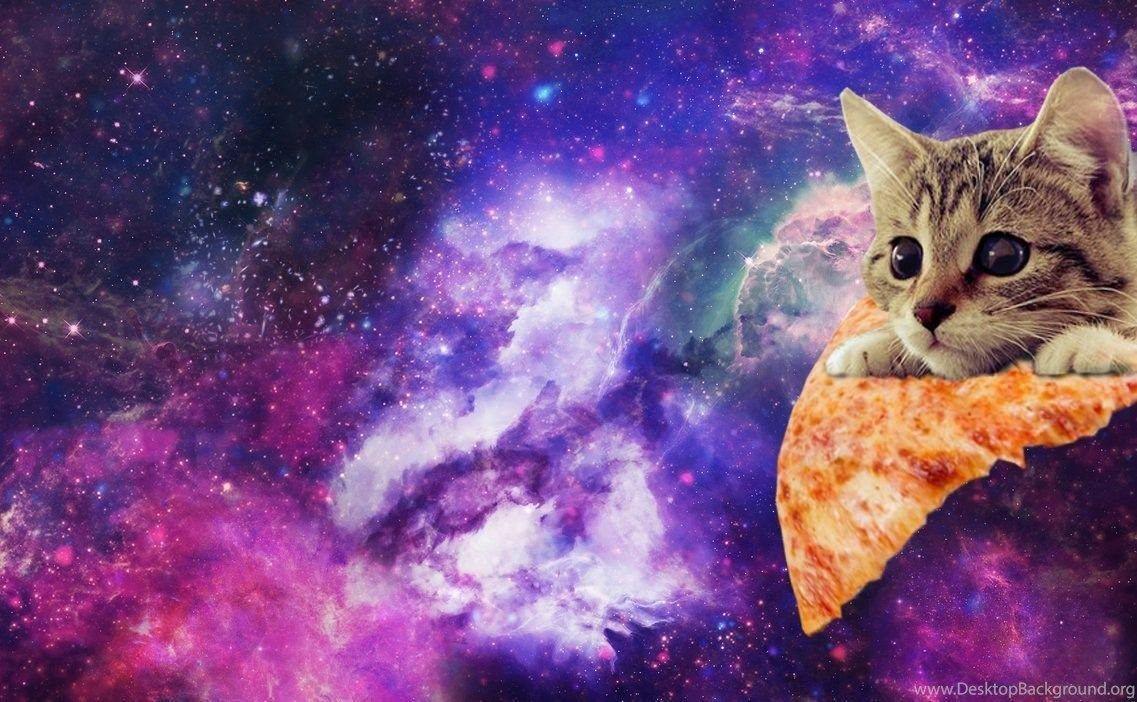 1137x702 Galaxy Cat Wallpaper