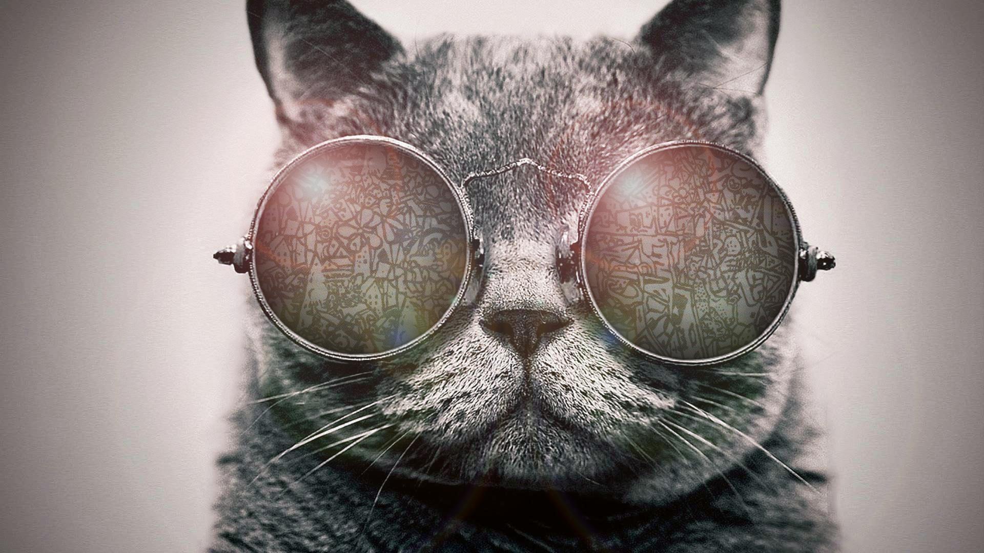 1920x1080 Galaxy Cat