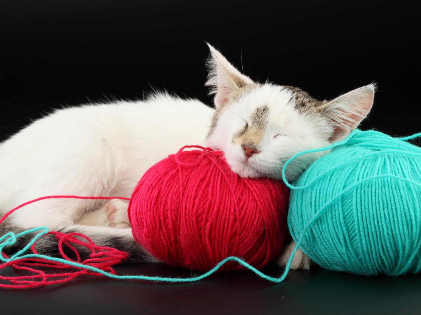 1680x1260 Wallpaper 4k cat, ball, thread, sleep, playful 4k Wallpaper
