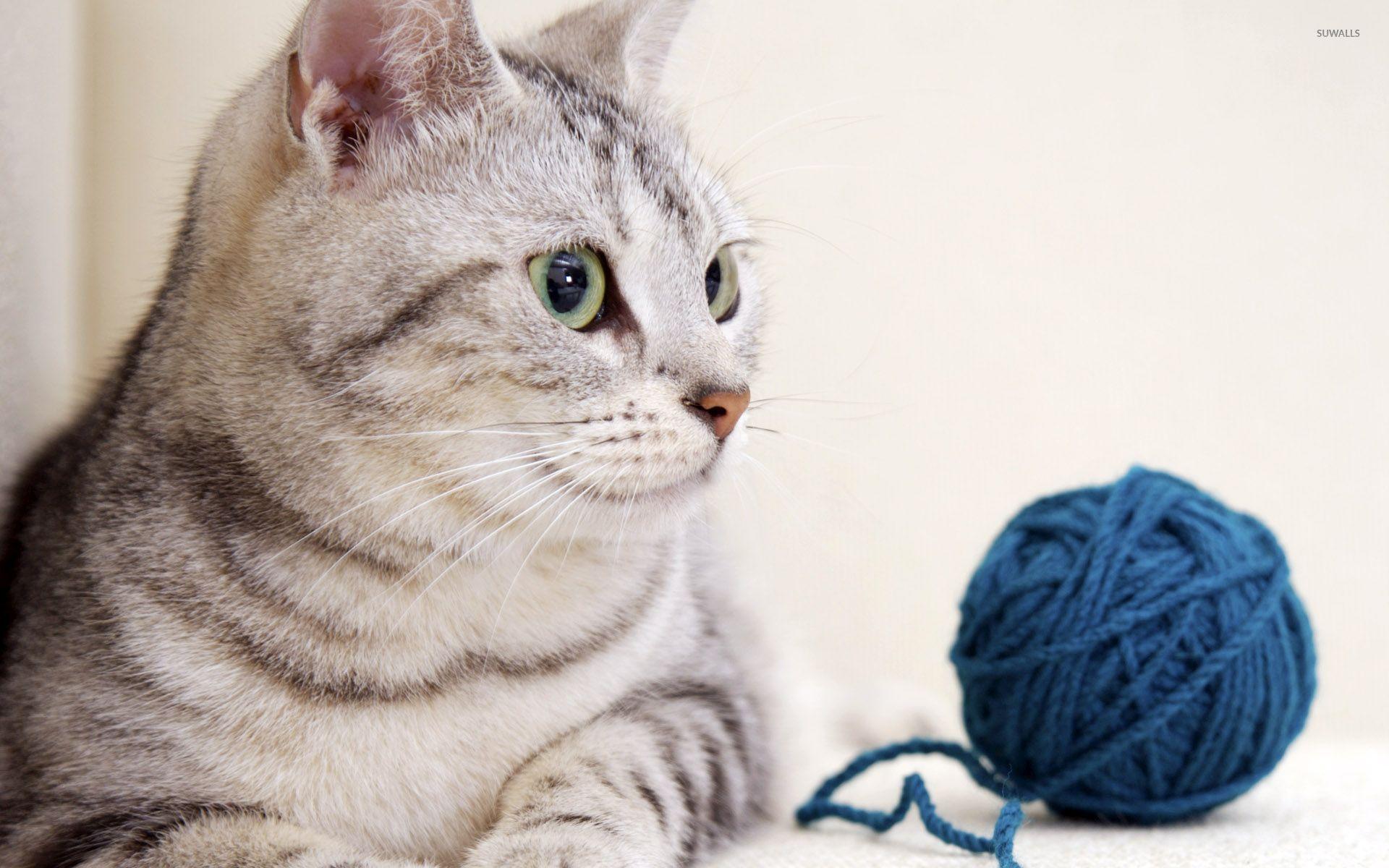 1920x1200 Yarn Wallpaper