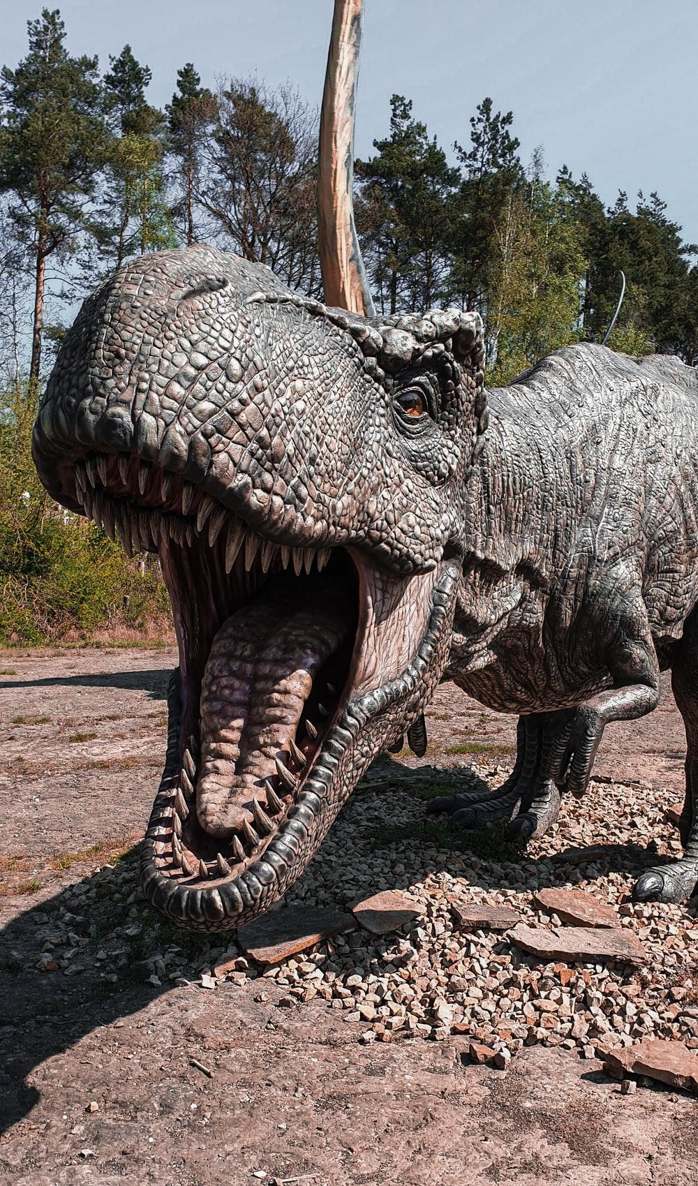 1000x1699 Dinosaur Picture [HQ]. Download Free Image
