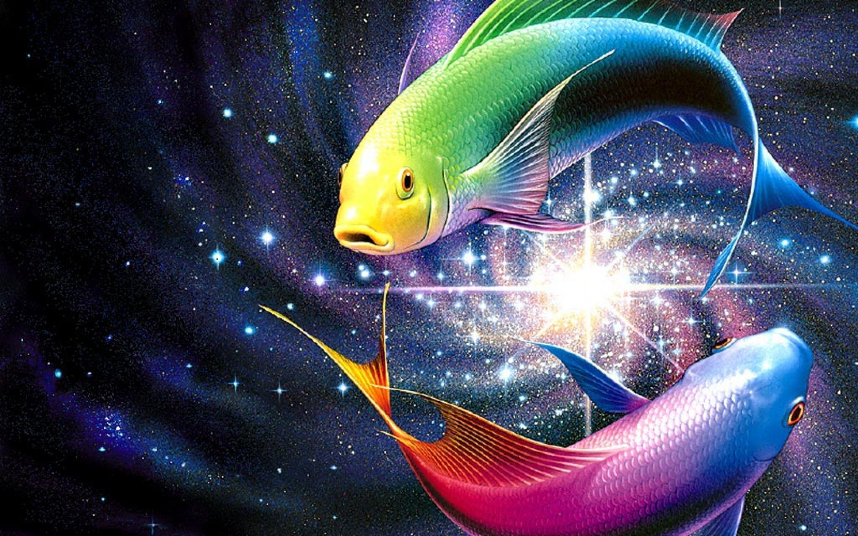 Fish minimal Ilustration Wallpaper 4k Ultra HD ID:5878