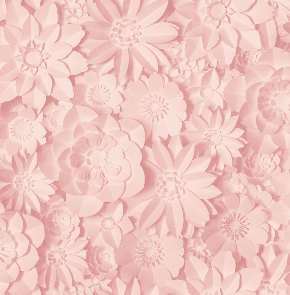 HD pink flowers wallpapers  Peakpx