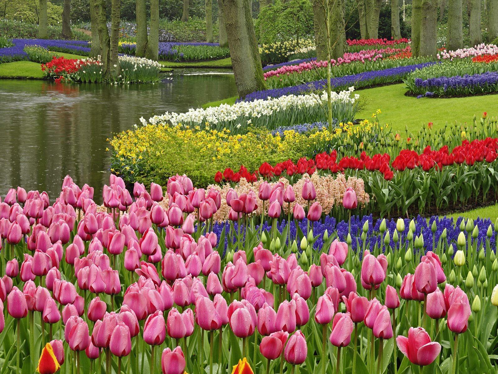 1600x1200 Spring Garden Wallpaper