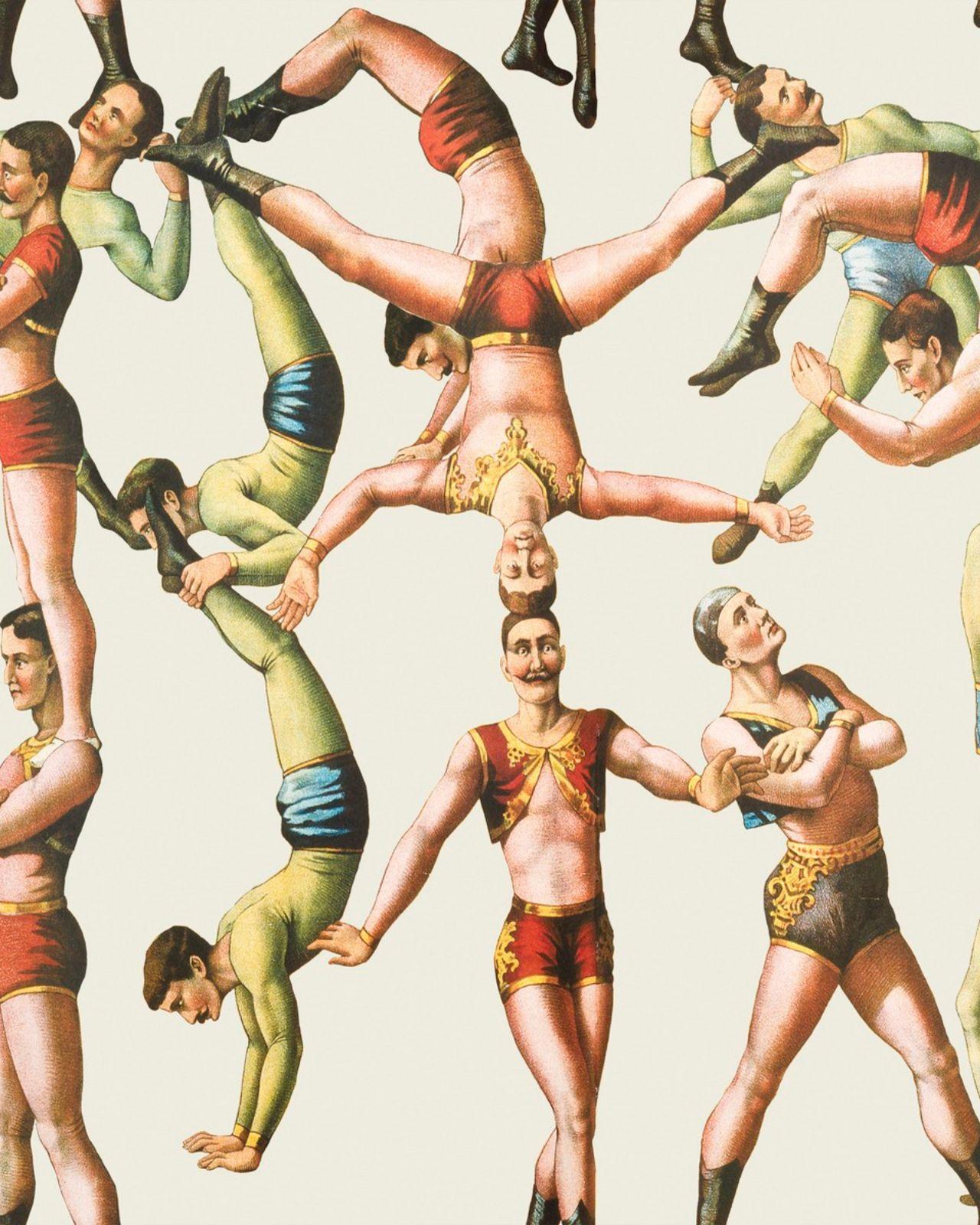 1280x1600 THE ACROBATS Wallpaper MINDTHEGAP
