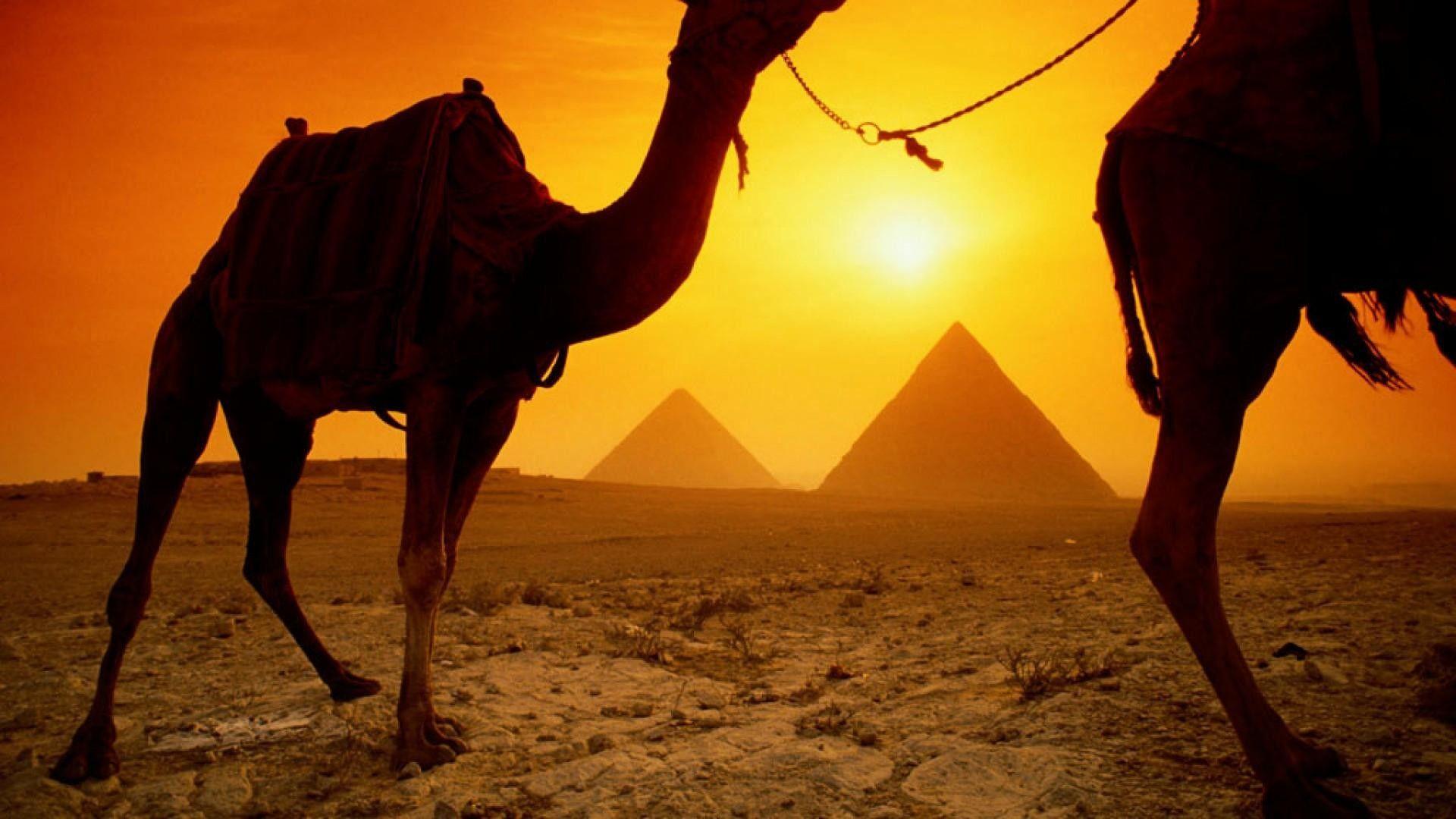 1920x1080 Ancient Egypt Wallpaper