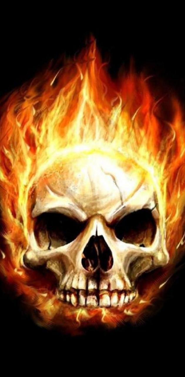 630x1280 Skull fire wallpaper