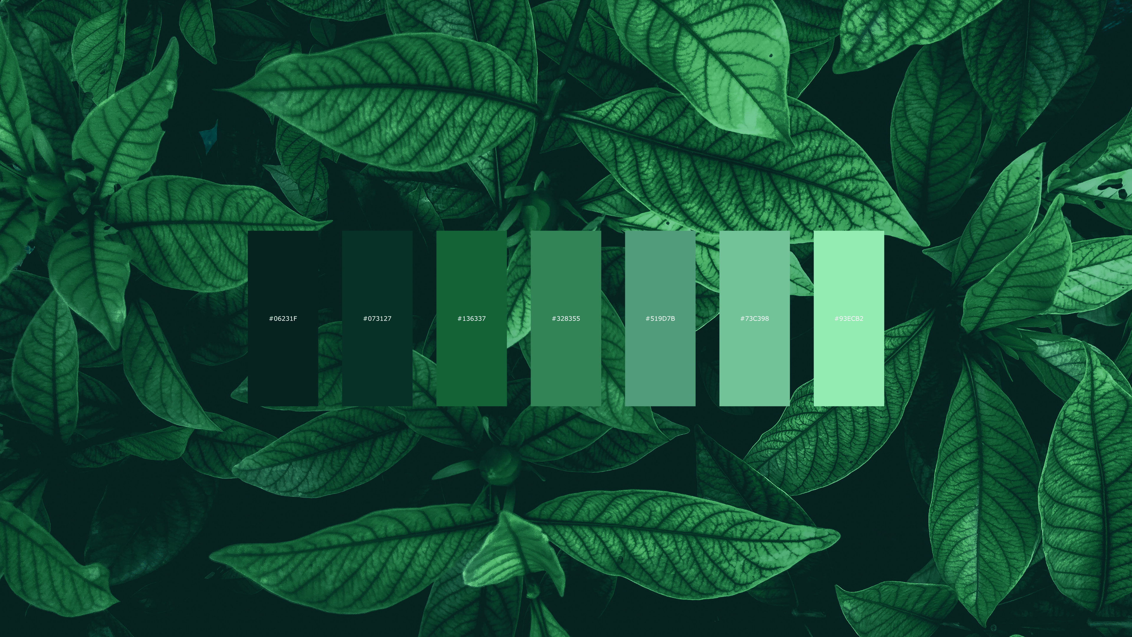3840x2160 Leaves color palette [3840X2160]