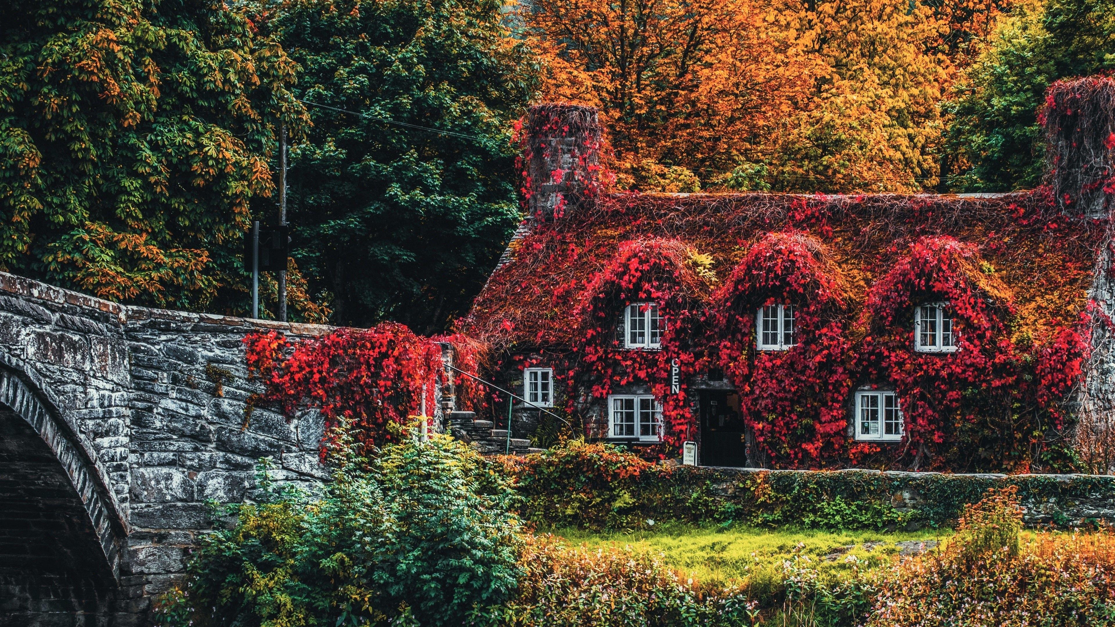 3840x2160 4K Autumn Wallpaper Free Download