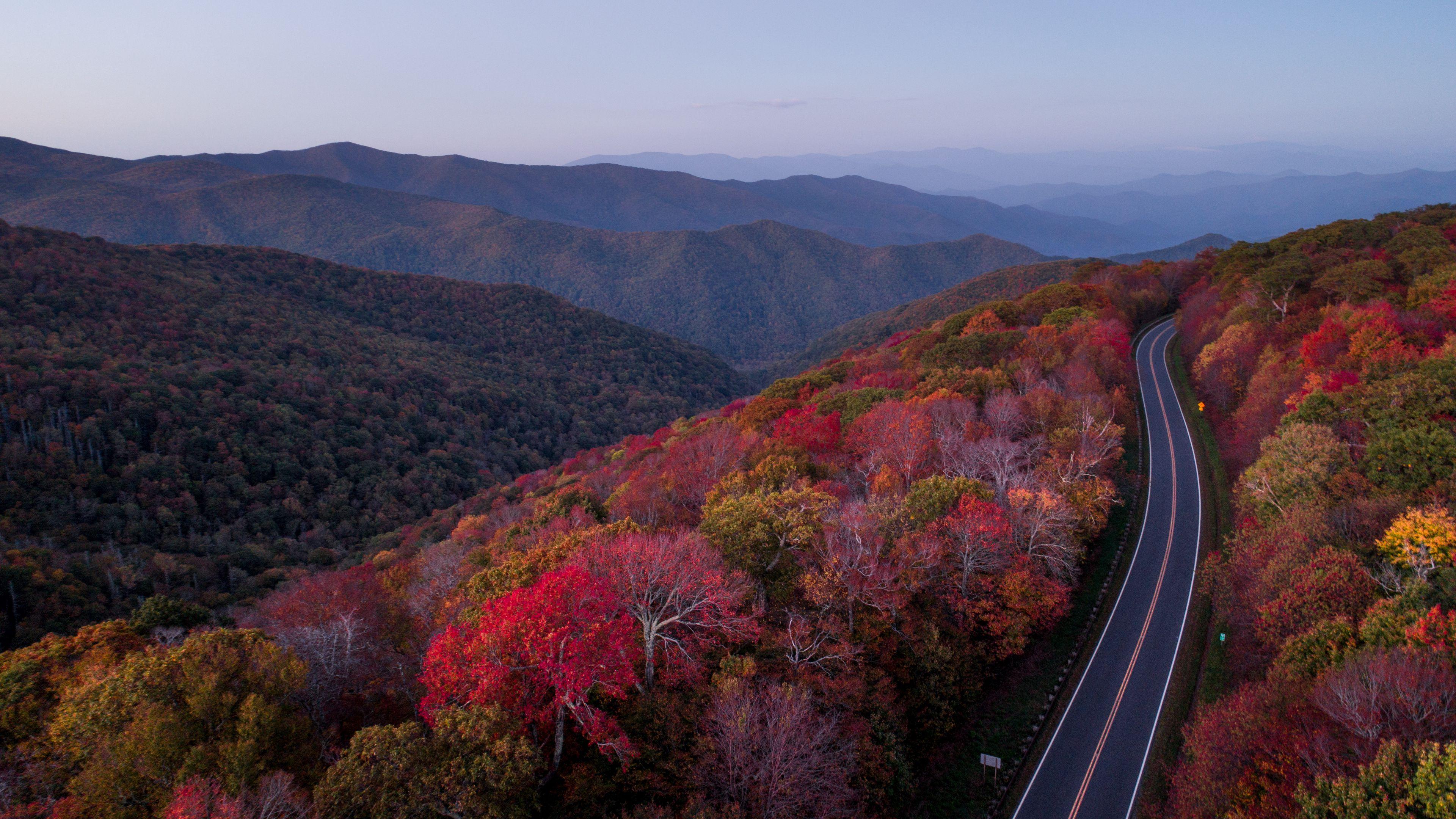 3840x2160 Road Autumn 4K wallpaper