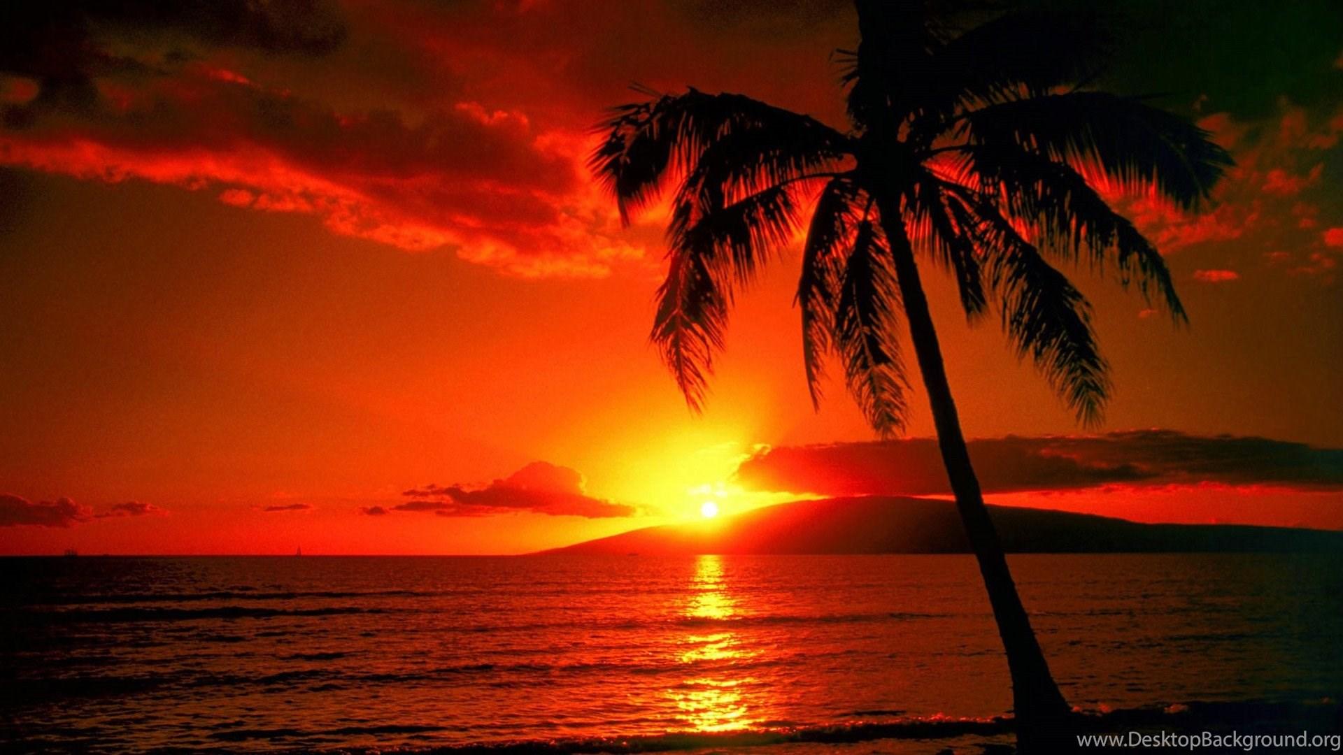 1920x1080 Red Sunset And Palm Beach Wallpaper, Beach Picture And Image Desktop Background