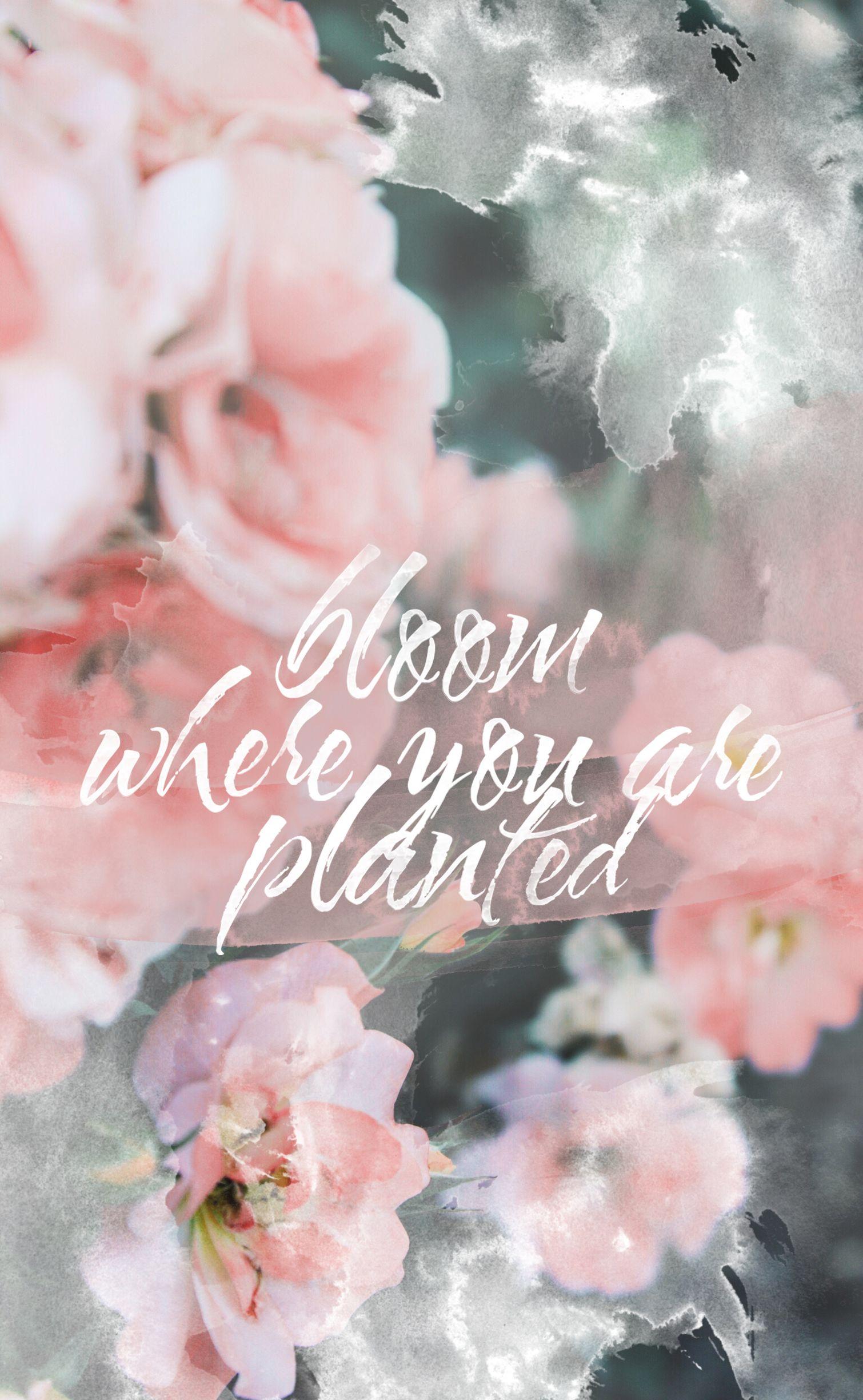 1510x2448 Bloom where you are planted, iPhone wallpaper, Bloom