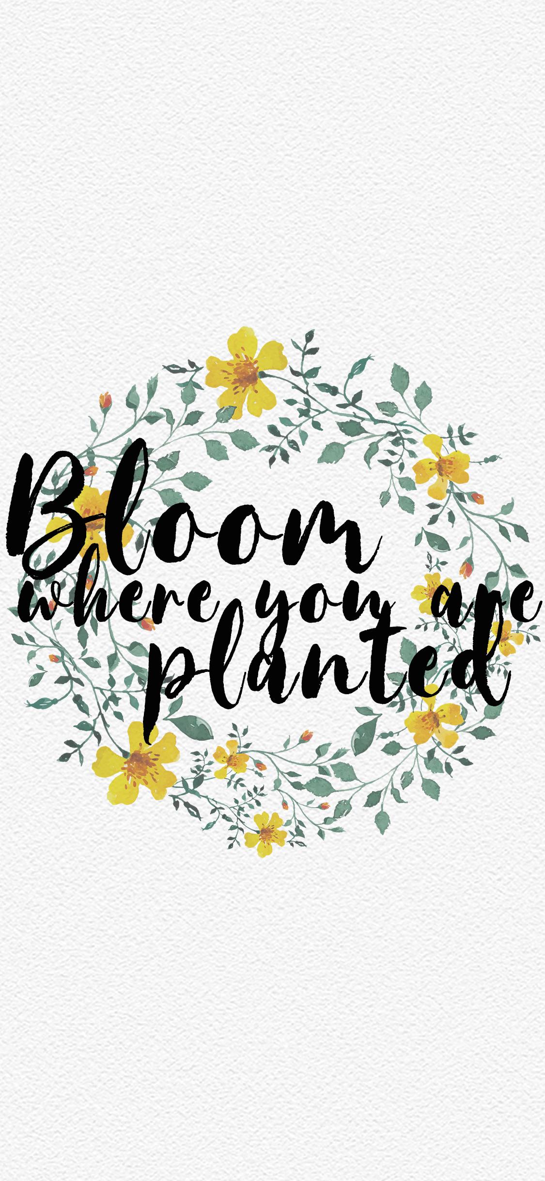1125x2436 Free Spring & Floral Desktop + Phone Wallpaper