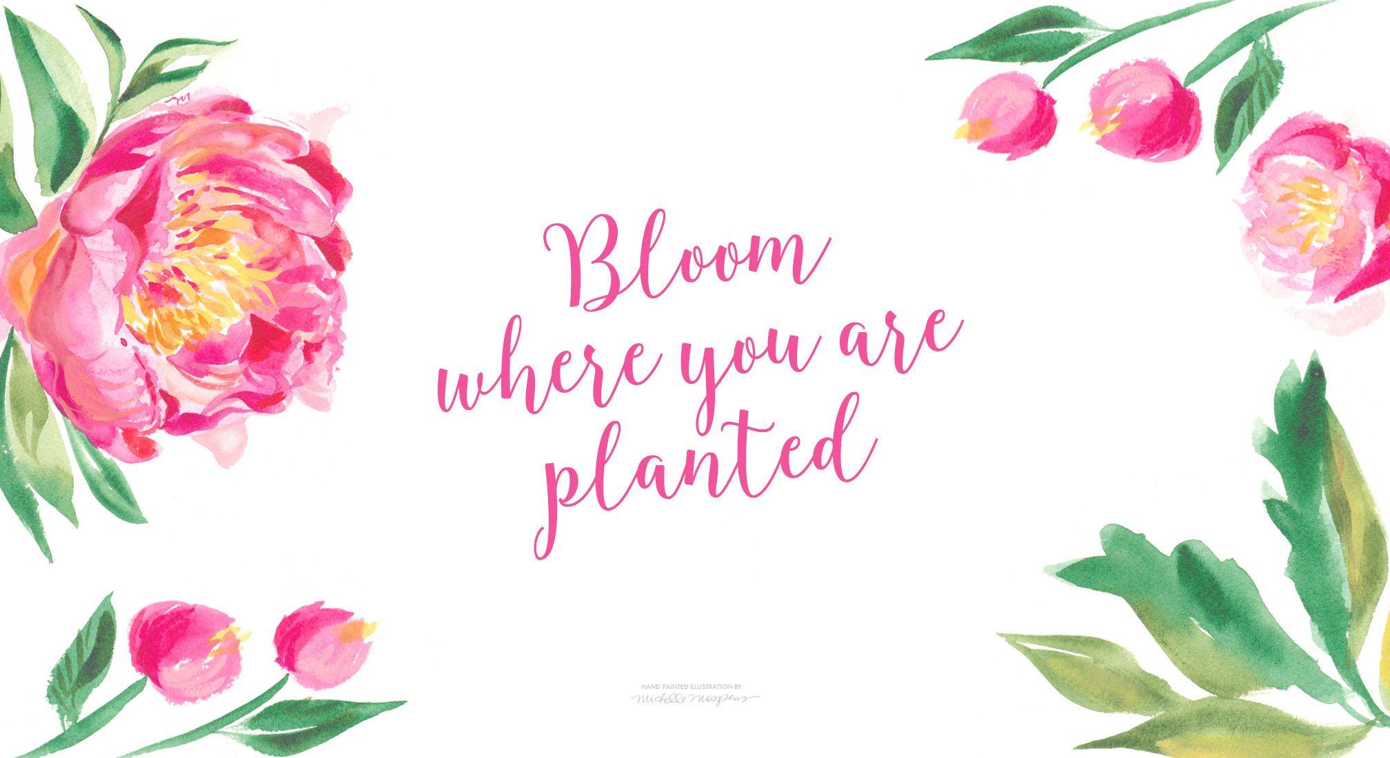 2016x1100 Painted Flowers Desktop Wallpaper