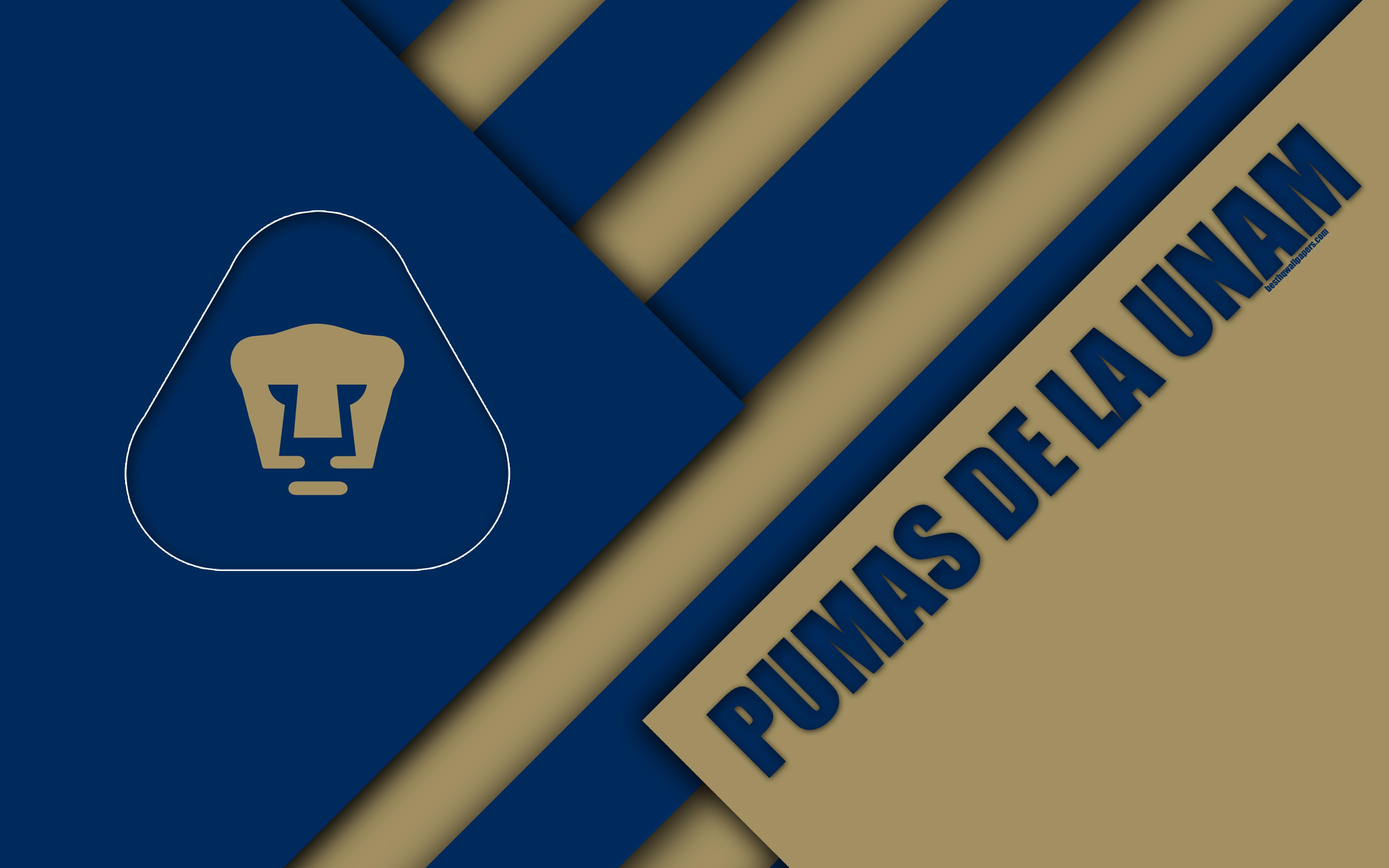 Beyond The Goals: The Impact Of Pumas Unam On Mexican Culture - qync1bo