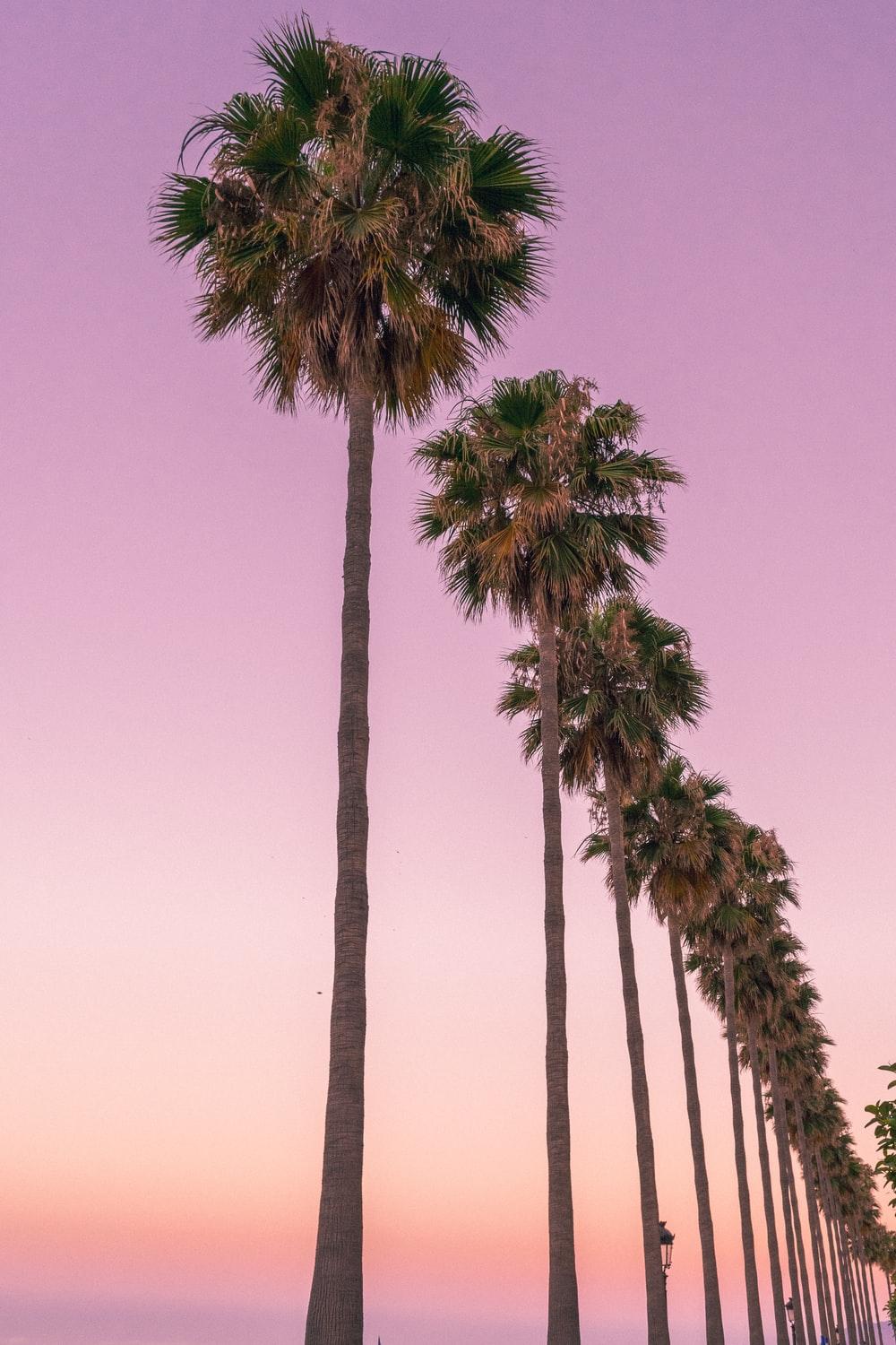 1000x1500 Costa Del Sol Picture. Download Free Image