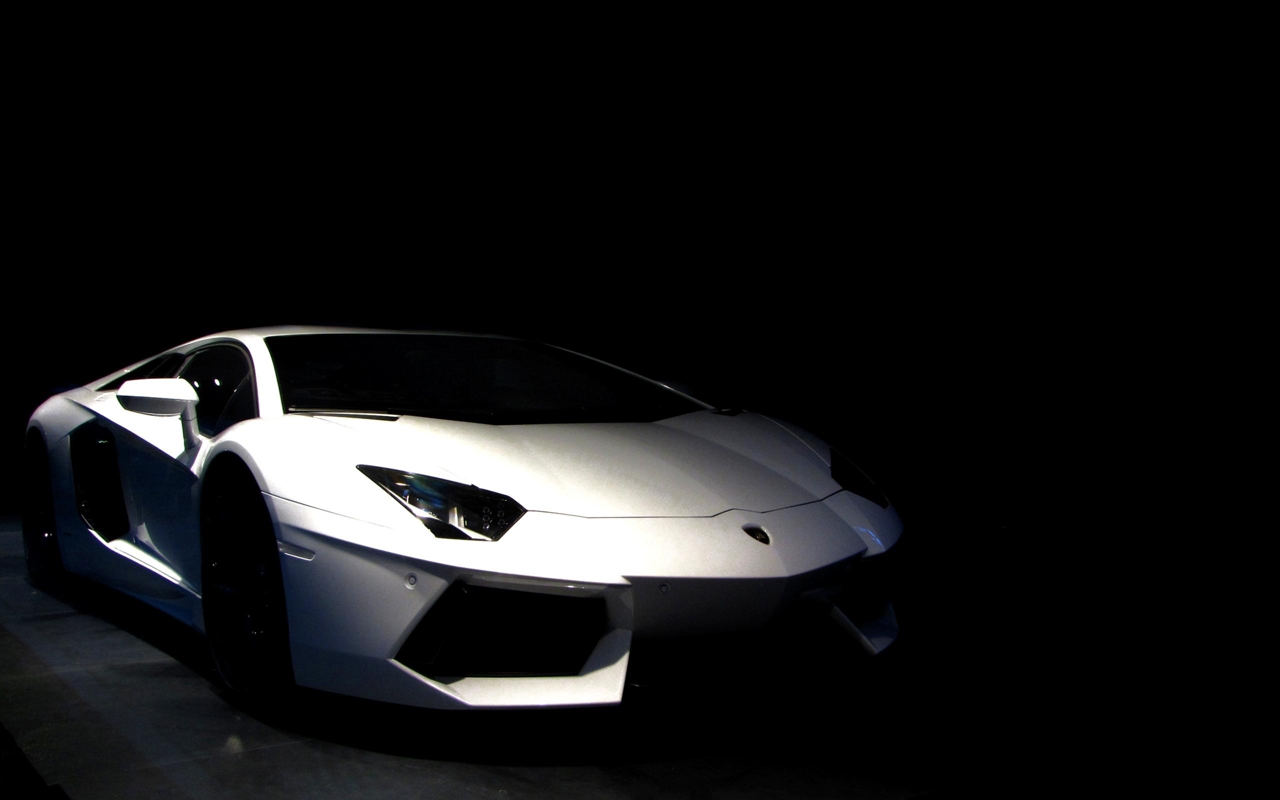 2560x1600 White Lamborghini Car Wallpaper Black HD Wallpaper