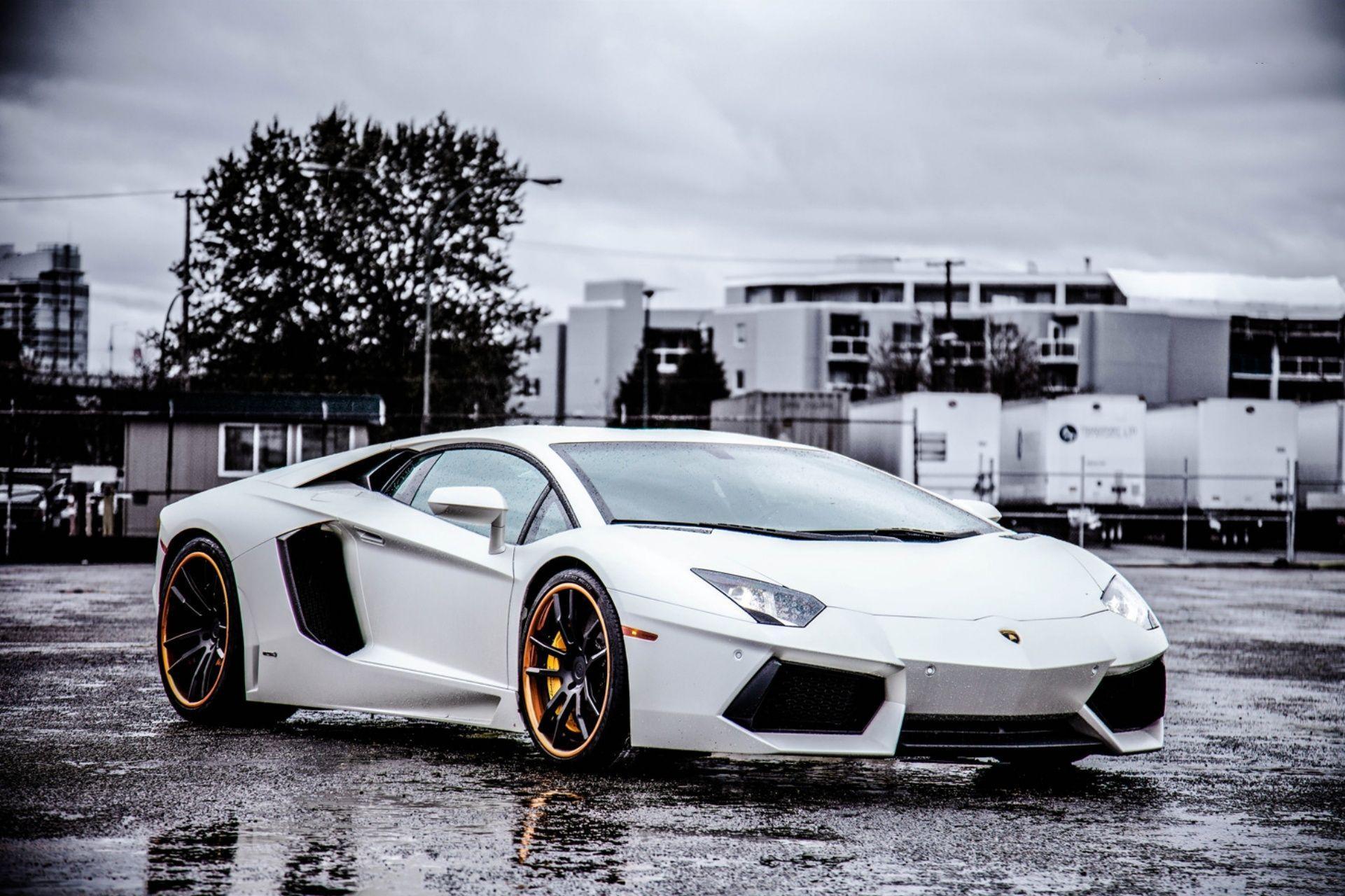 1921x1280 Black And White Lamborghini Wallpaper