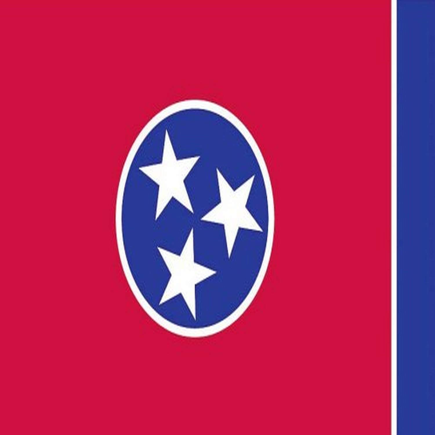 1500x1500 Amazon.com : Valley Forge Flag Made in America 3' x 5' Nylon Tennessee State Flag : Outdoor Flags : Patio, Lawn & Garden