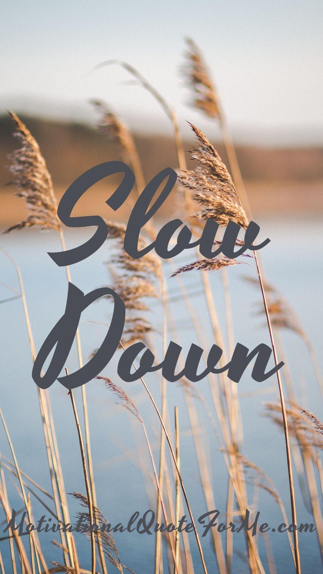 Slow Down Wallpapers Top Free Slow Down Backgrounds WallpaperAccess