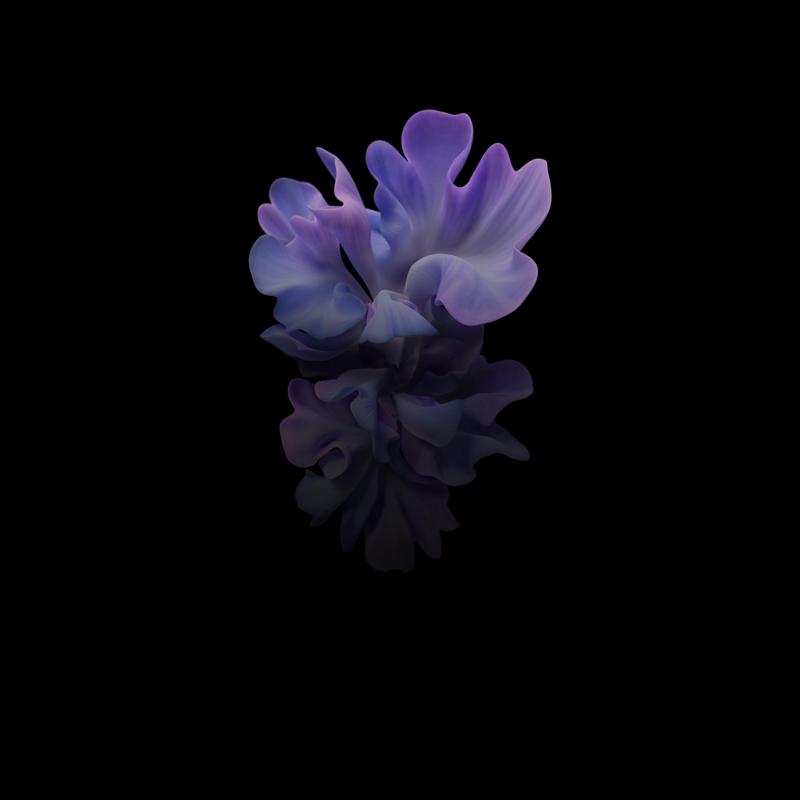 2636x2636 New Samsung Galaxy Z 4K Wallpaper, HD Artist 4K Wallpaper, Image, Photo and Background