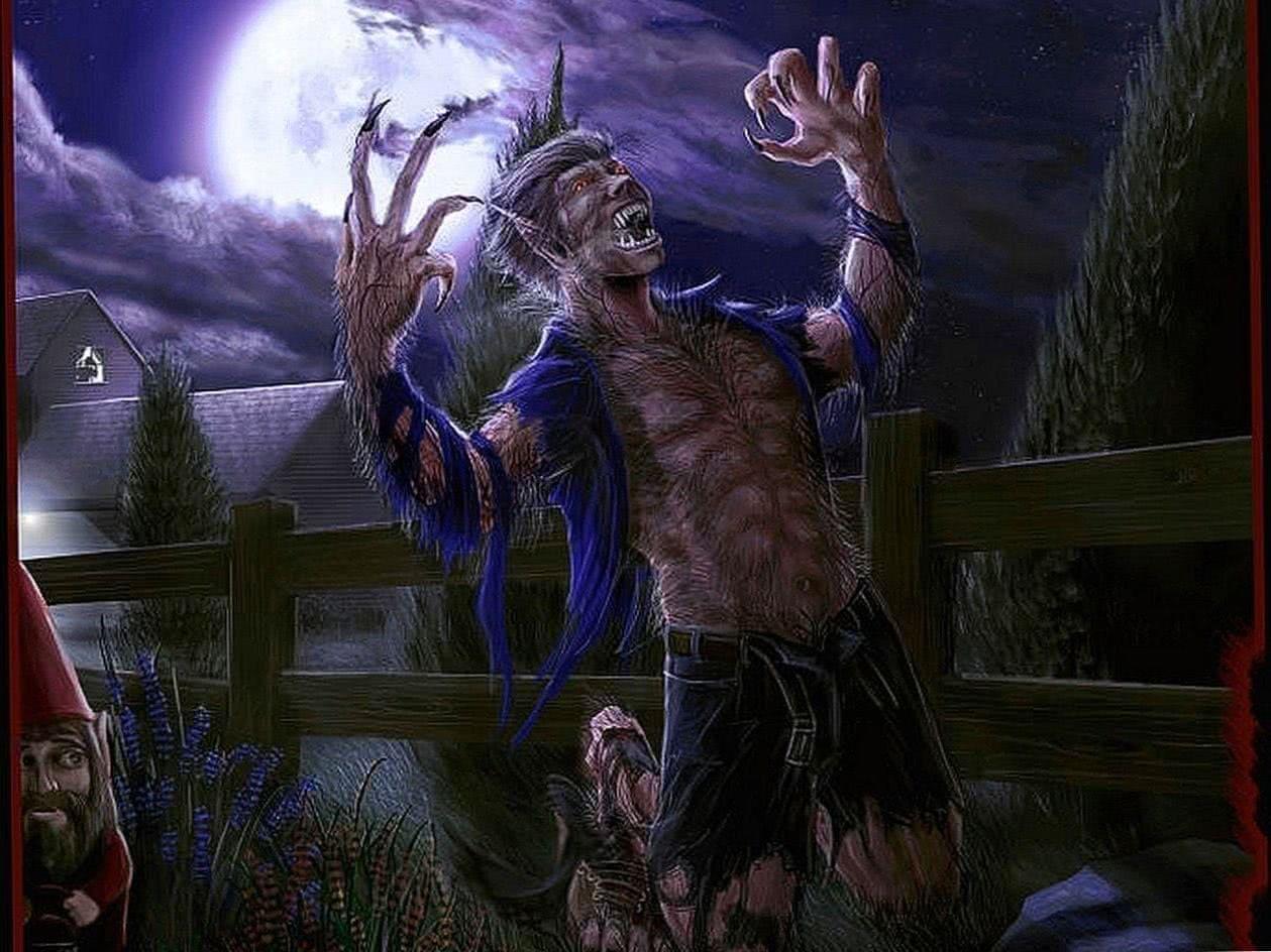 1259x944 Werewolf Halloween Wallpaper Wallpaper.pro