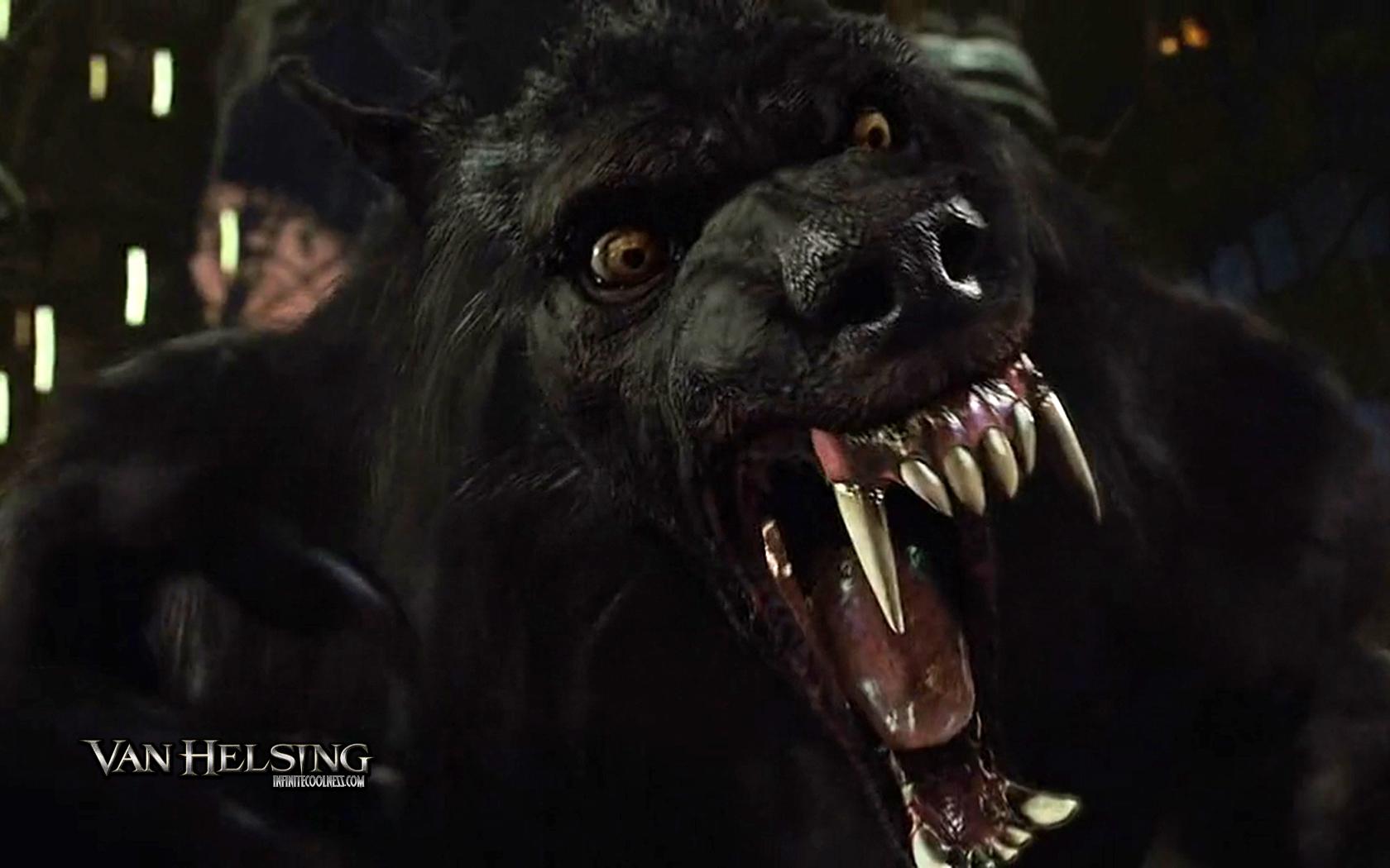 1680x1050 Free download WallpaperInfiniteCoolnesscom HALLOWEEN CENTRAL [1680x1050] for your Desktop, Mobile & Tablet. Explore Van Helsing Werewolf Wallpaper. Van Helsing Werewolf Wallpaper, Van Helsing Wallpaper, Van Helsing Wallpaper