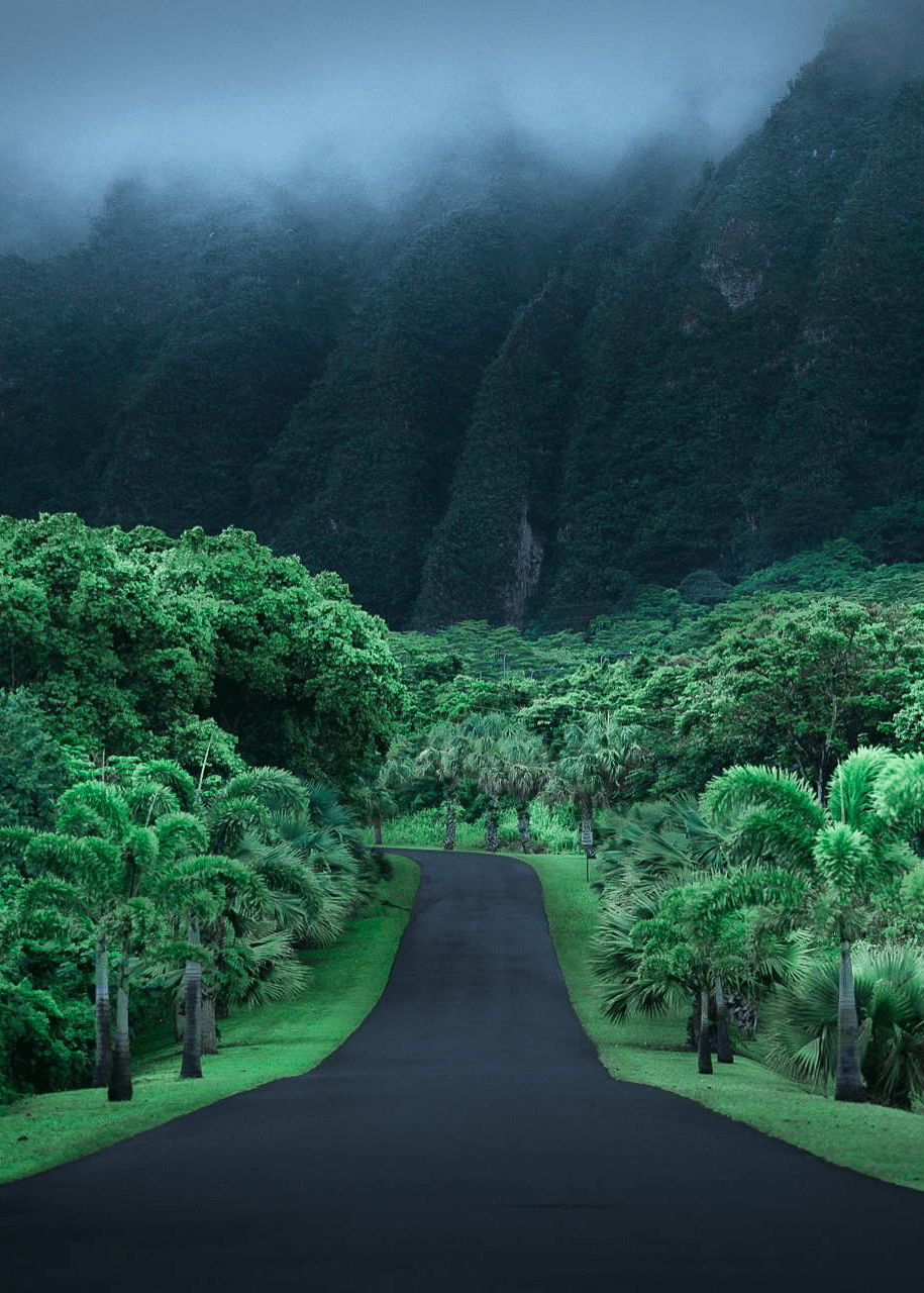915x1280 Coiour My World: Oahu, HI. By Mydetoxtravel Of Pics. Nature Iphone Wallpaper, Nature, IPhone Wallpaper