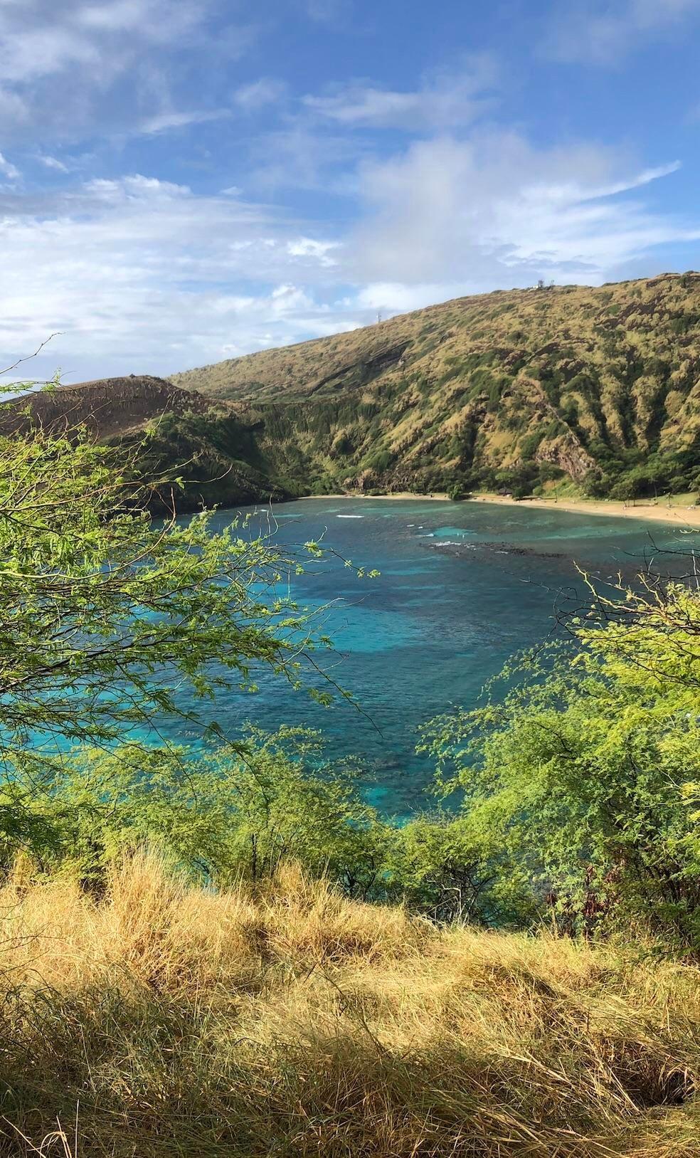 984x1627 Waimea bay, Oahu. iPhone X Wallpaper X Wallpaper HD