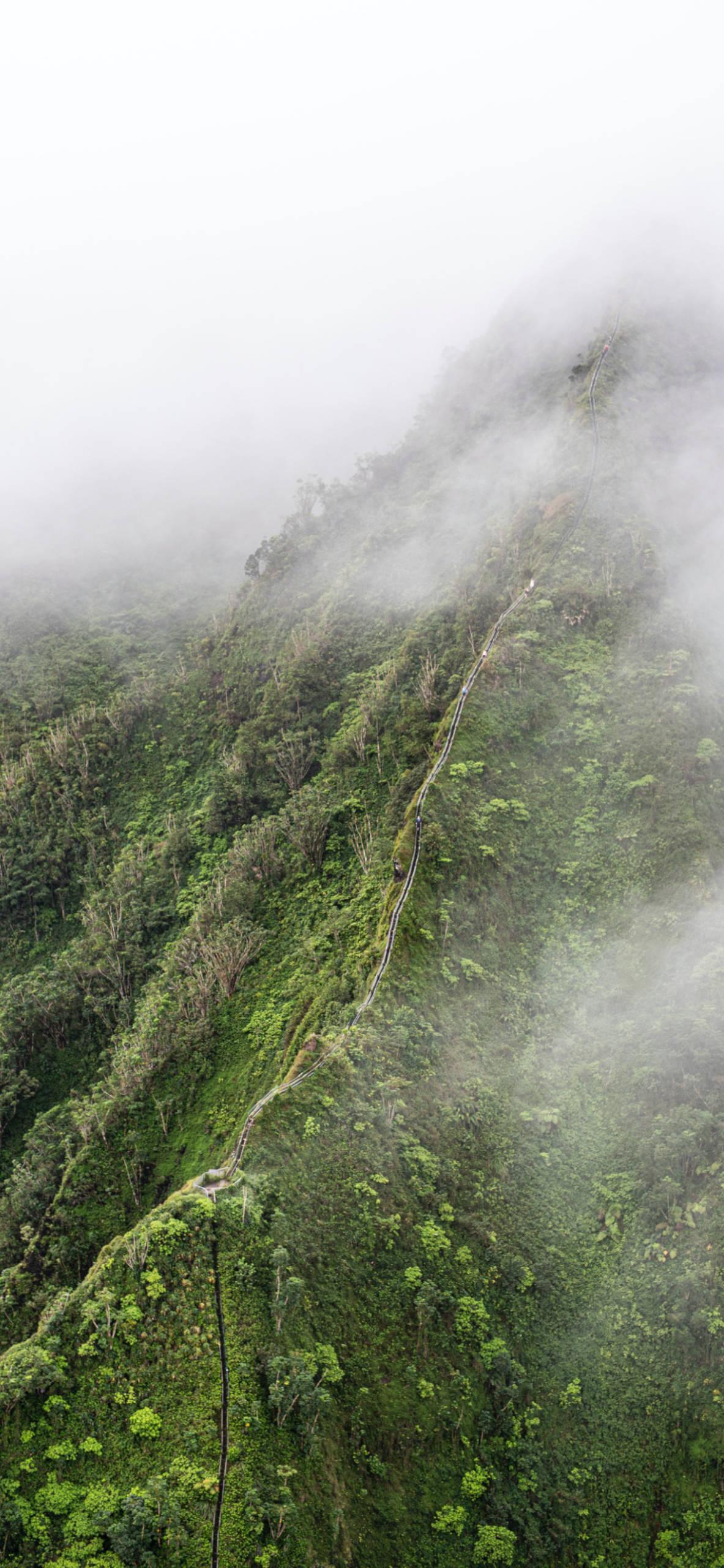 1183x2560 Hawaii Wallpaper for iPhone Pro Max, X, 6