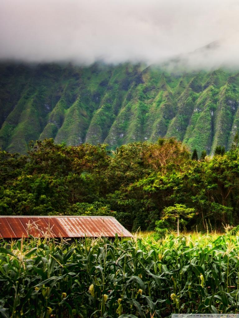 768x1024 Oahu Highlands Ultra HD Desktop Background Wallpaper for 4K UHD TV : Multi Display, Dual Monitor : Tablet