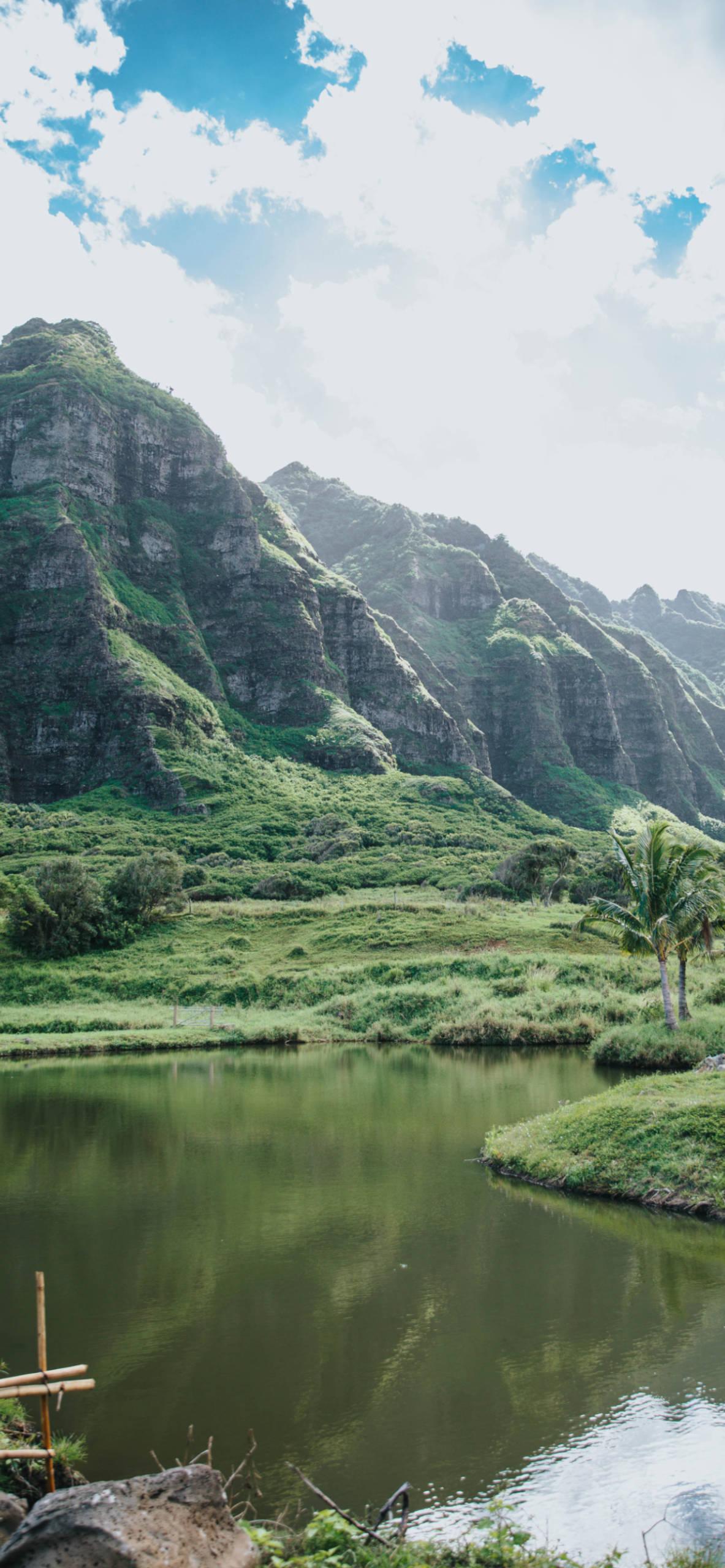 1183x2560 Hawaii Wallpaper for iPhone Pro Max, X, 6