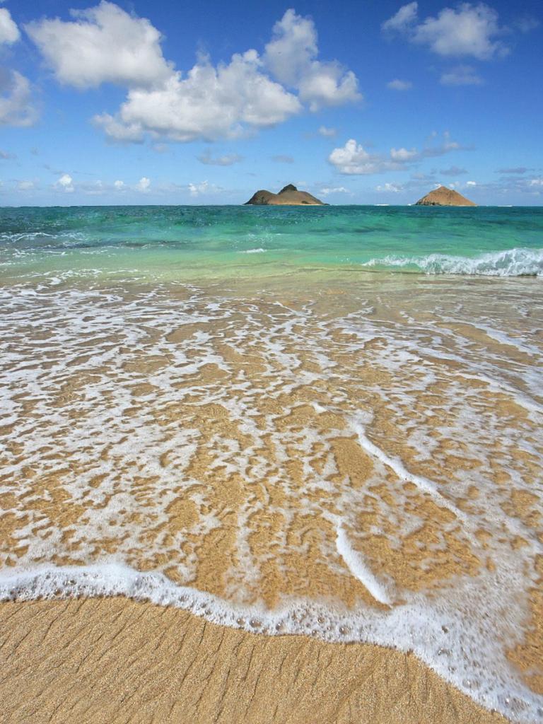 768x1024 Free download shoreline oahu hawaii wallpaper you are viewing the nature wallpaper [1600x1200] for your Desktop, Mobile & Tablet. Explore Oahu Hawaii Desktop Wallpaper. Free Hawaii Desktop Wallpaper, Hawaiian