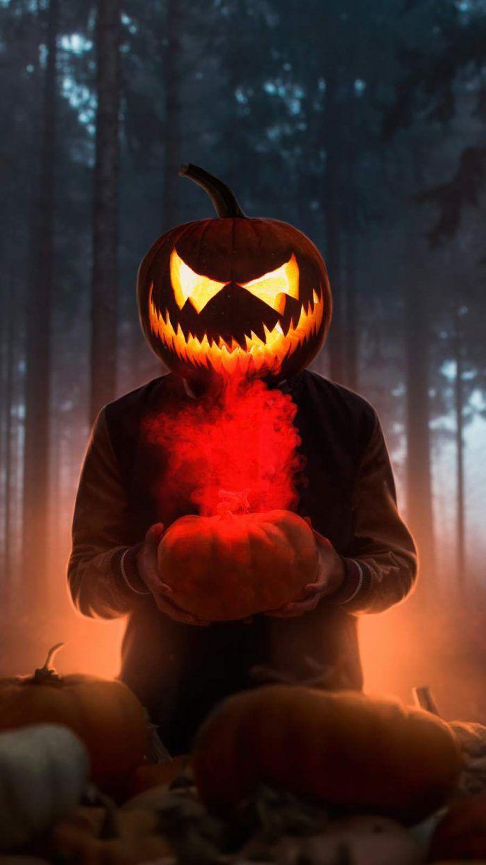700x1244 Halloween Kitten Pumpkin Art IPhone Wallpaper Wallpaper : IPhone Wallpaper. Scary Halloween Pumpkins, Halloween Wallpaper Iphone, Halloween Wallpaper